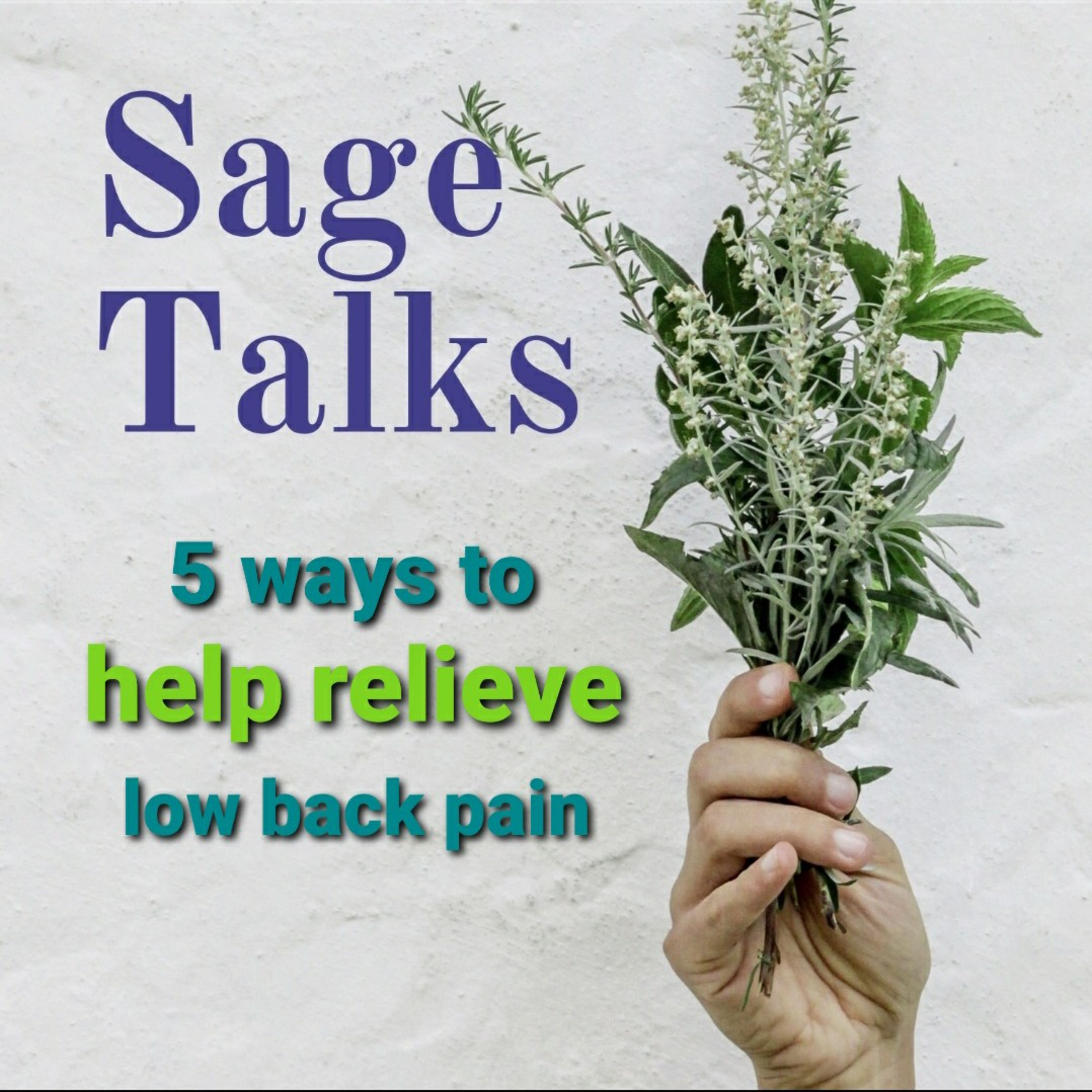 Sage Talks