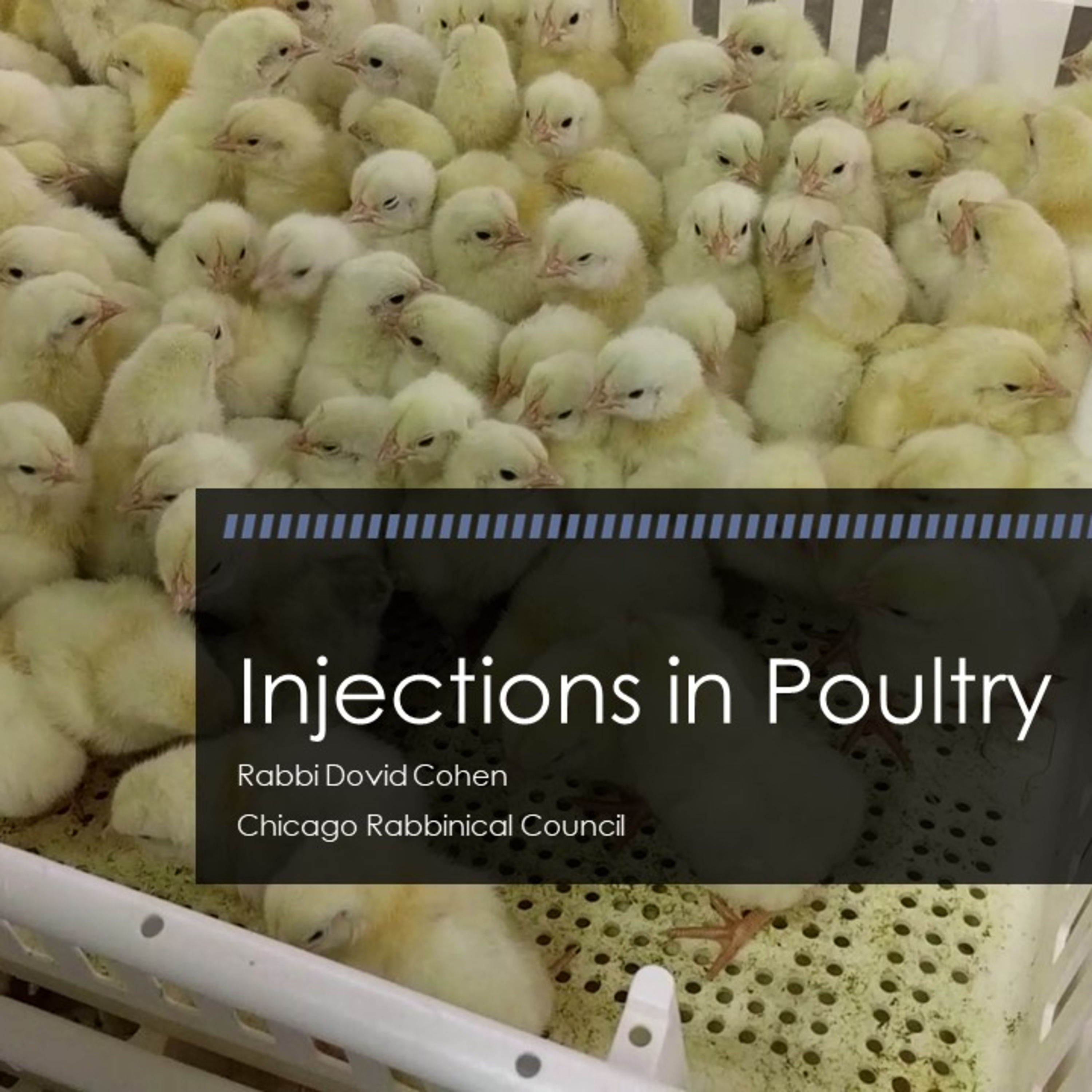 Injections in Poultry (Meat and Poultry 2 - Livestock B) episode artwork