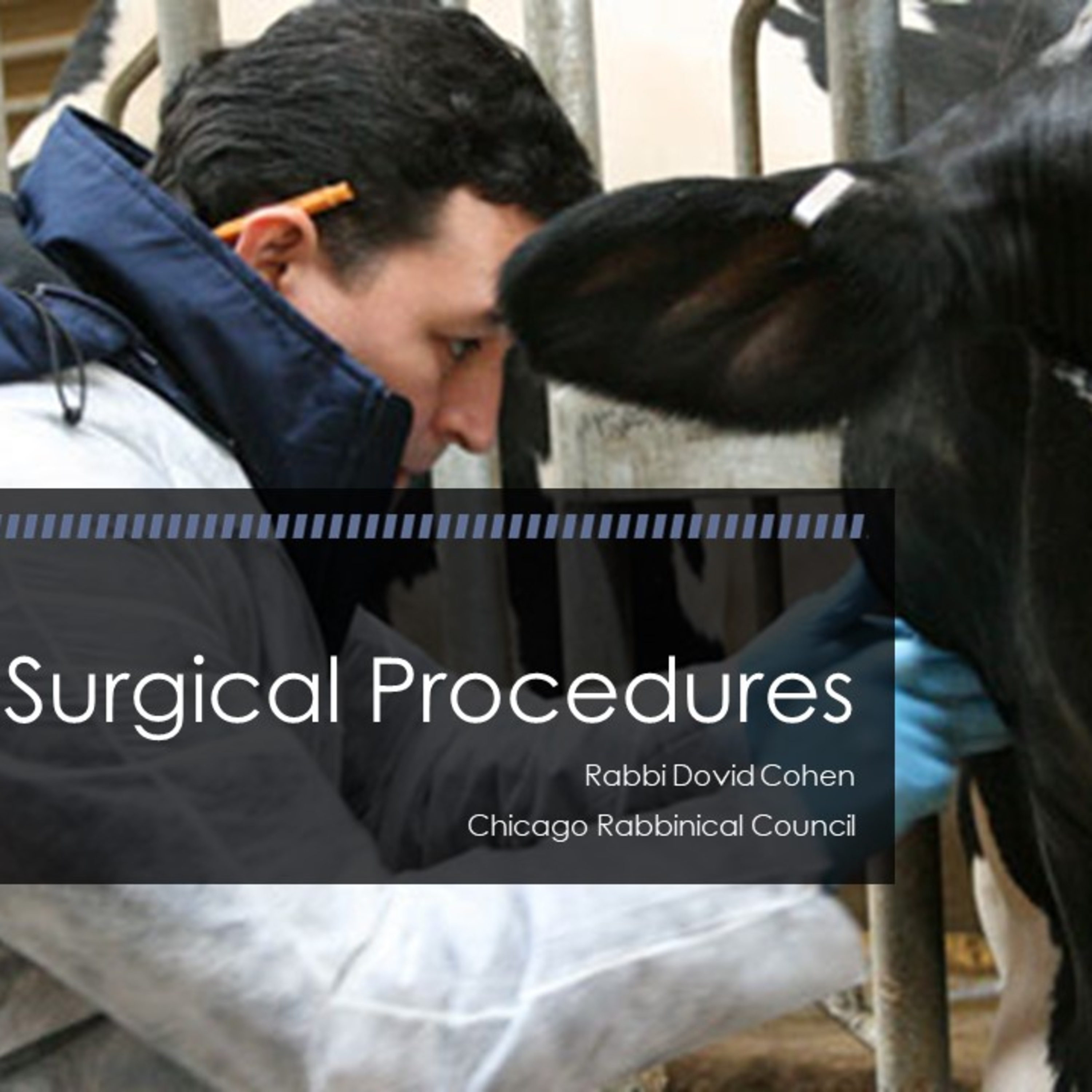 Surgical Procedures (Meat and Poultry 3 - Livestock C) episode artwork