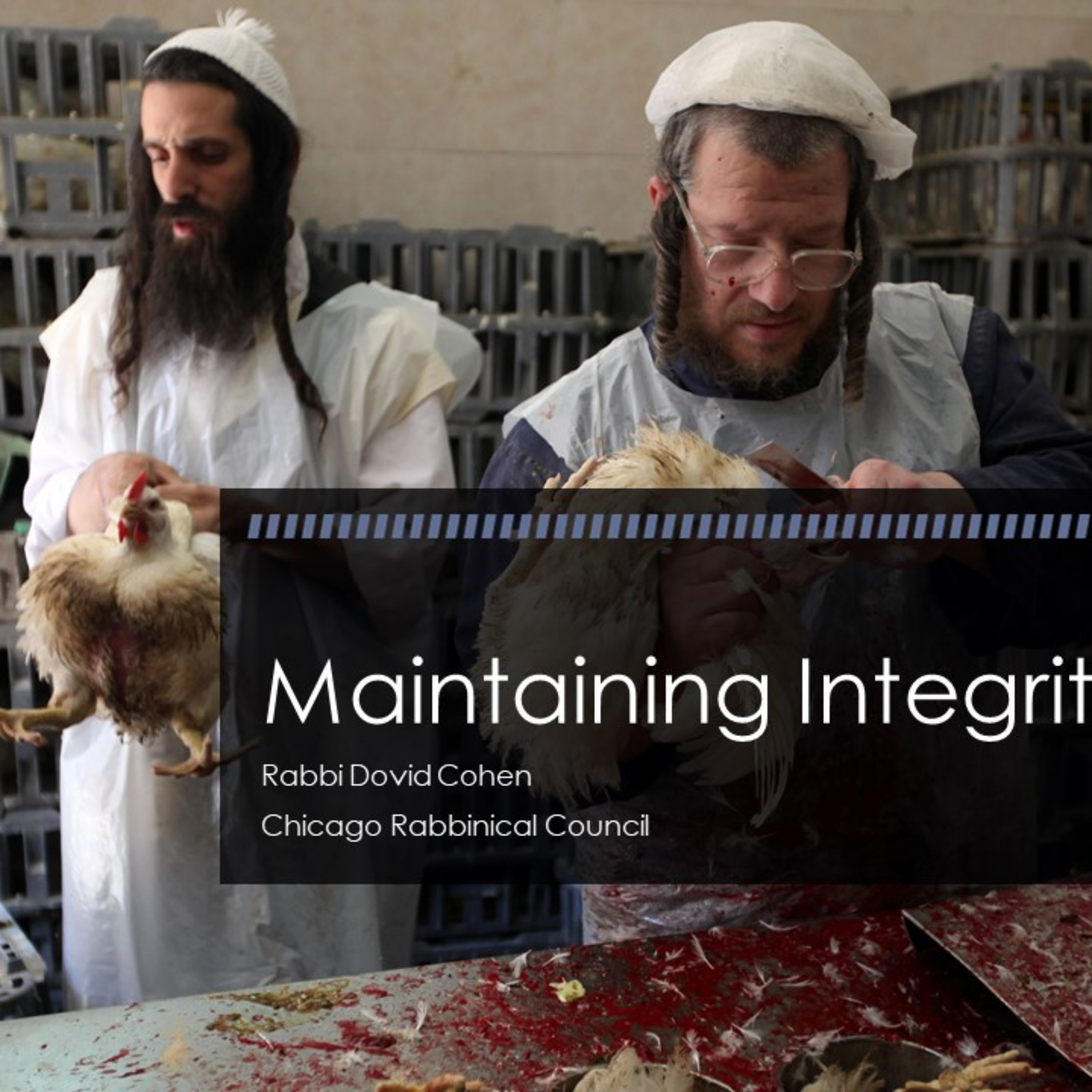 Maintaining Integrity (Meat and Poultry 7 - Shochet C) episode artwork