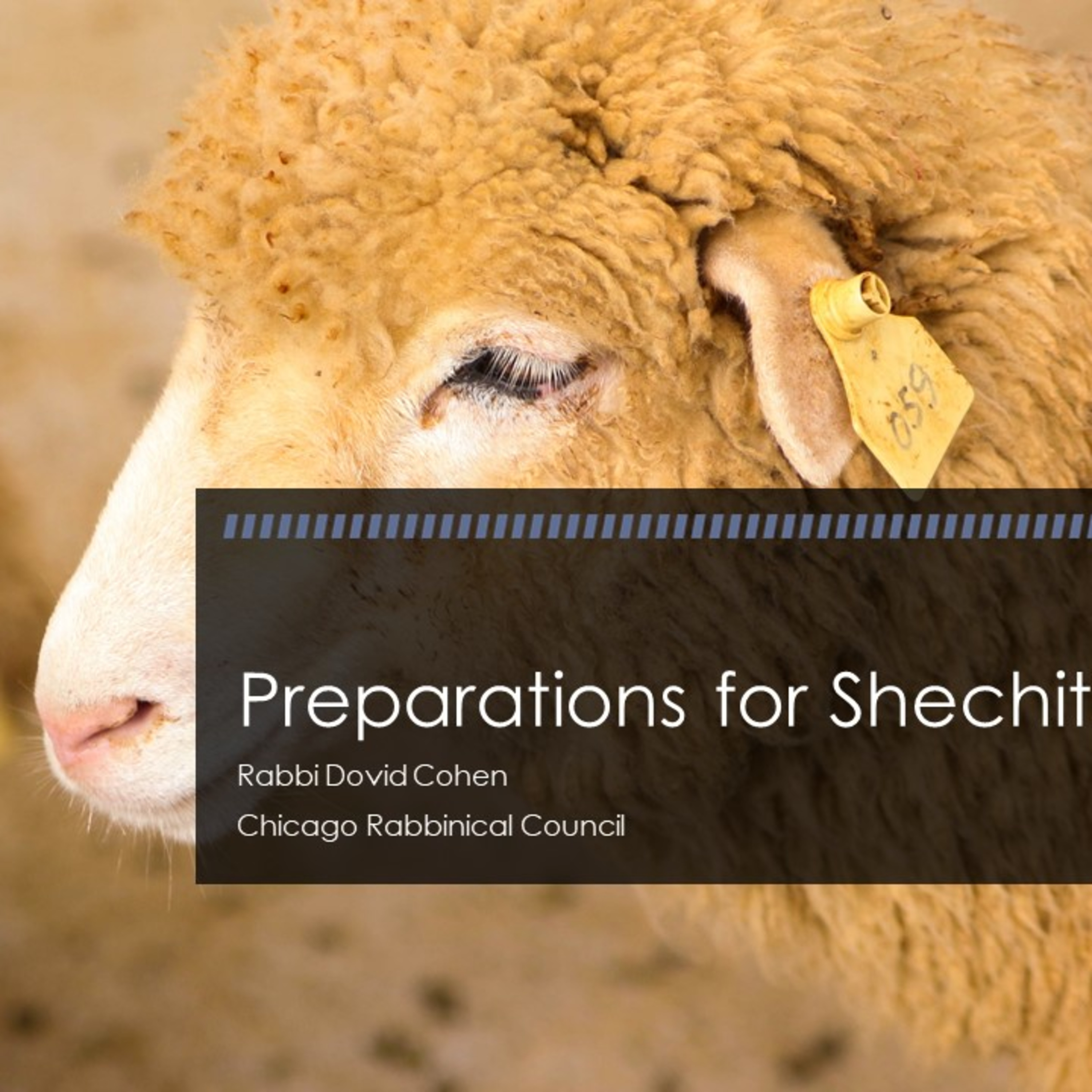 Preparation for Shechitah (Meat and Poultry 10 - Shechitah A) episode artwork
