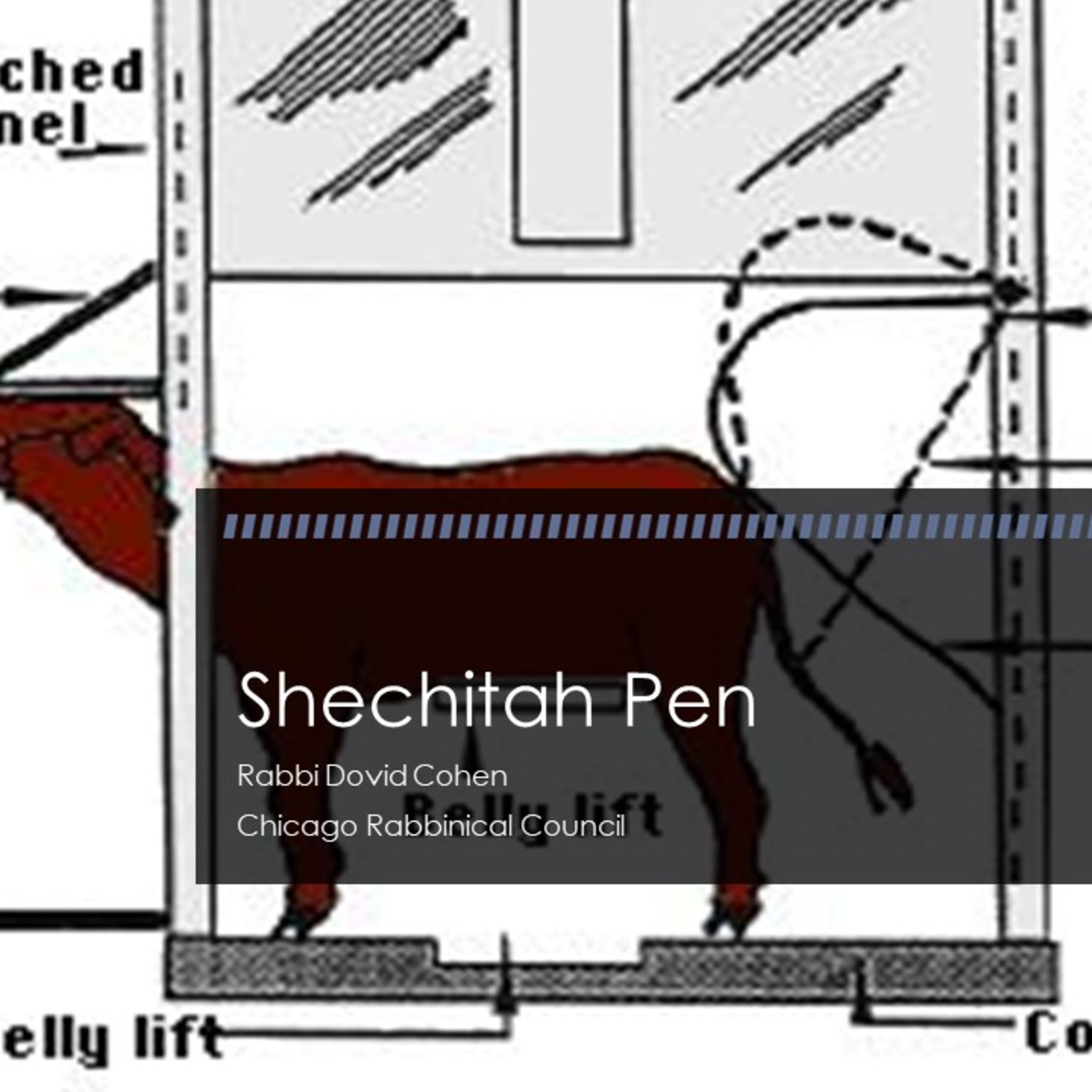 Shechitah Pen (Meat and Poultry 11 - Shechitah B) episode artwork