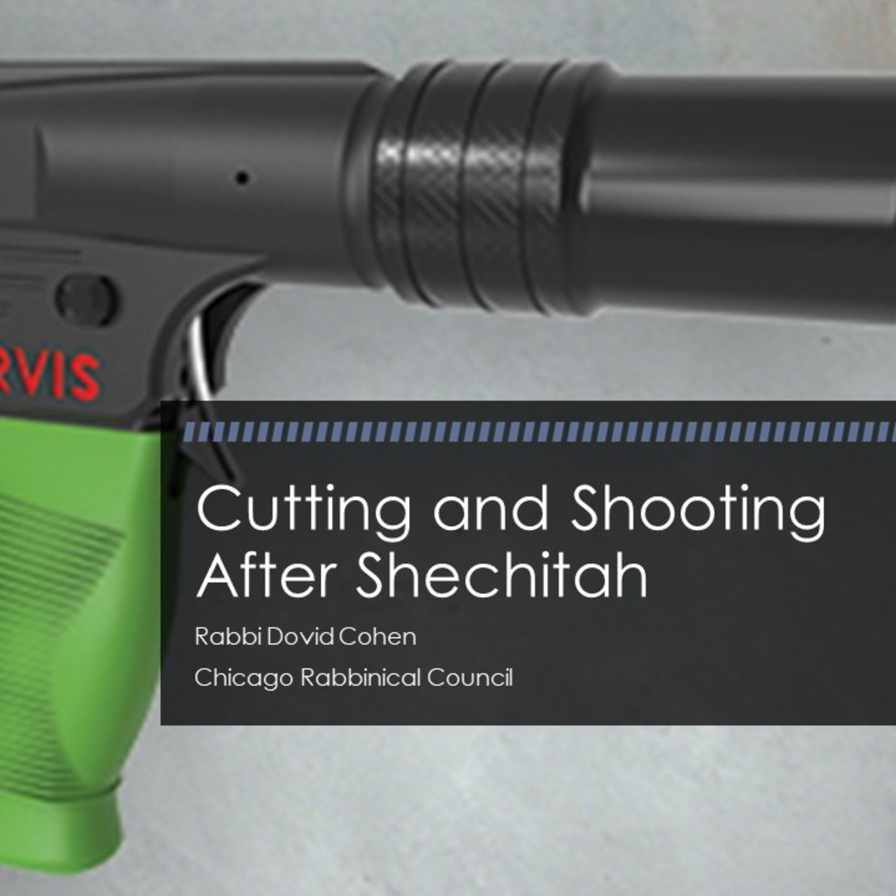 Cutting and Shooting After Shechitah (Meat and Poultry 12 - Shechitah C) episode artwork