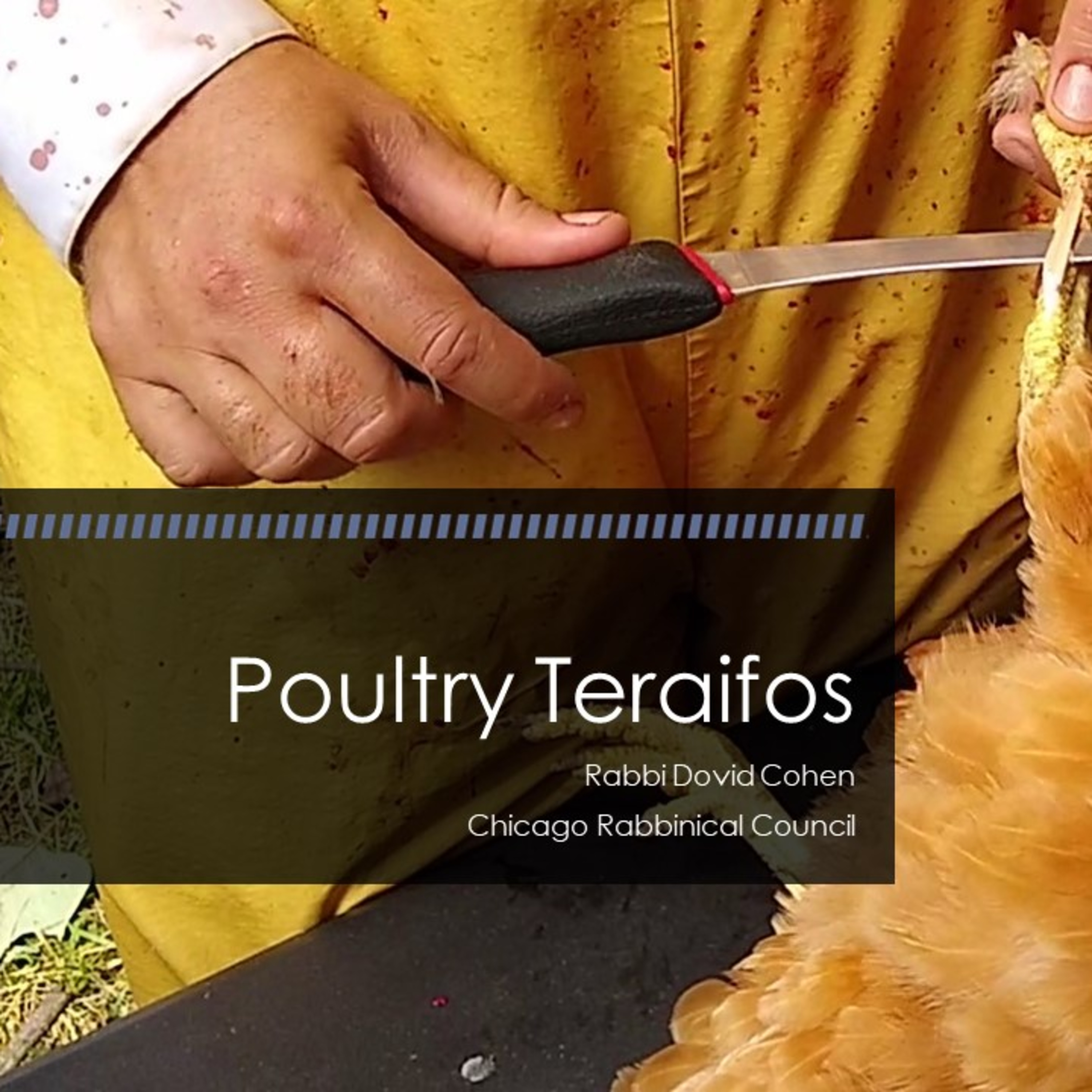Poultry Teraifos (Meat and Poultry #17 - Teraifos D) episode artwork