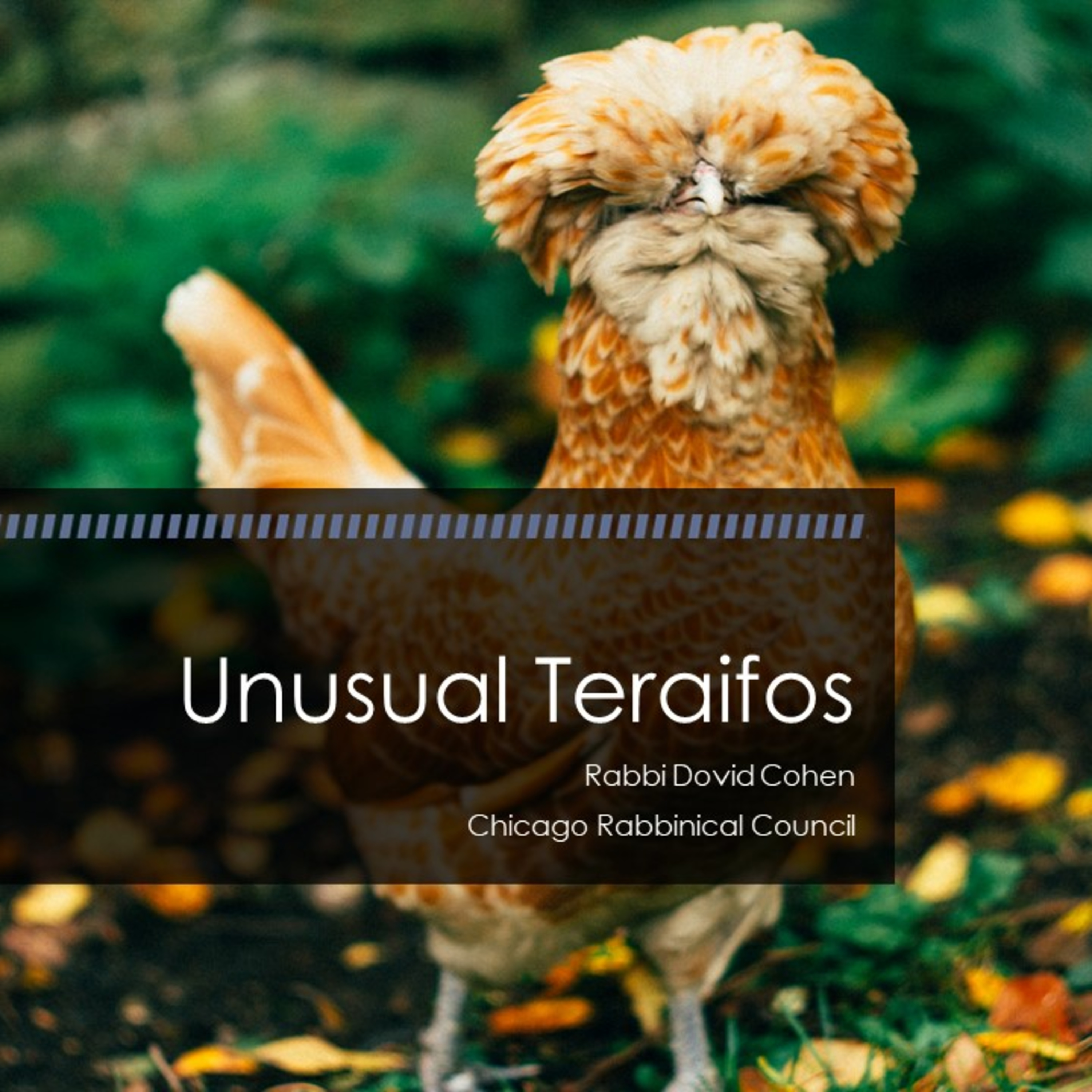 Unusual Teraifos (Meat and Poultry #18 - Teraifos E) episode artwork