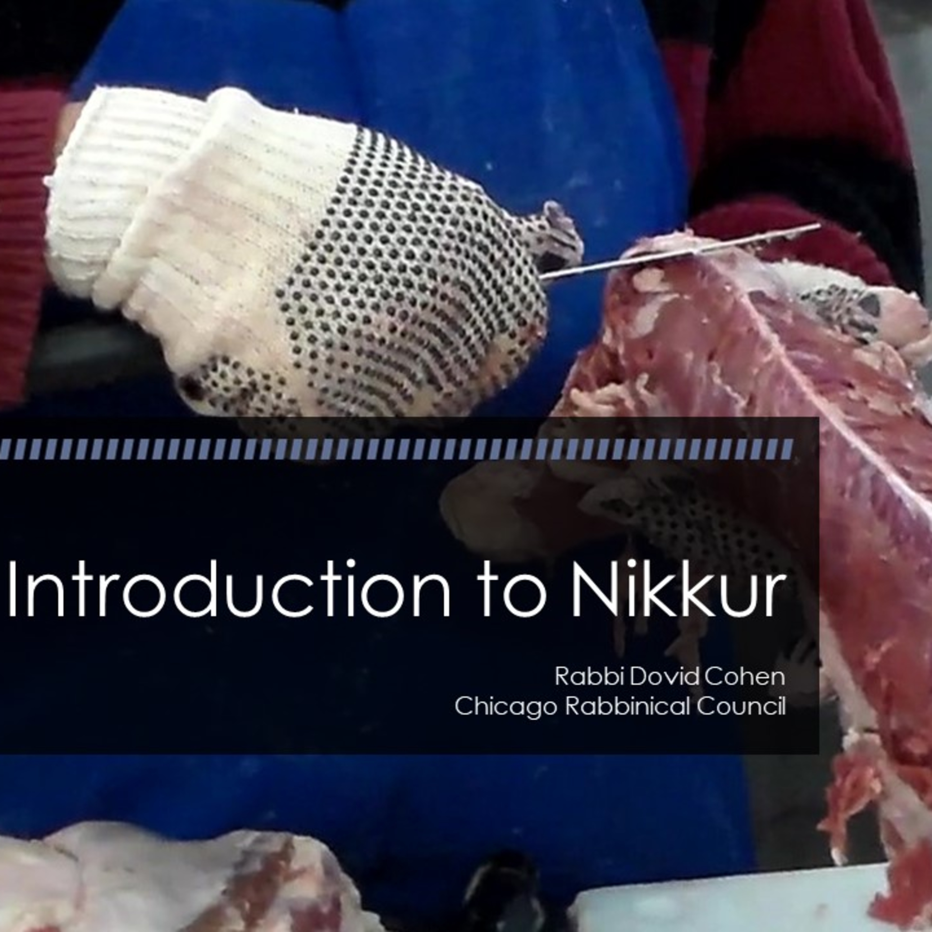 Introduction to Nikkur (Meat and Poultry #19 - Nikkur A) episode artwork