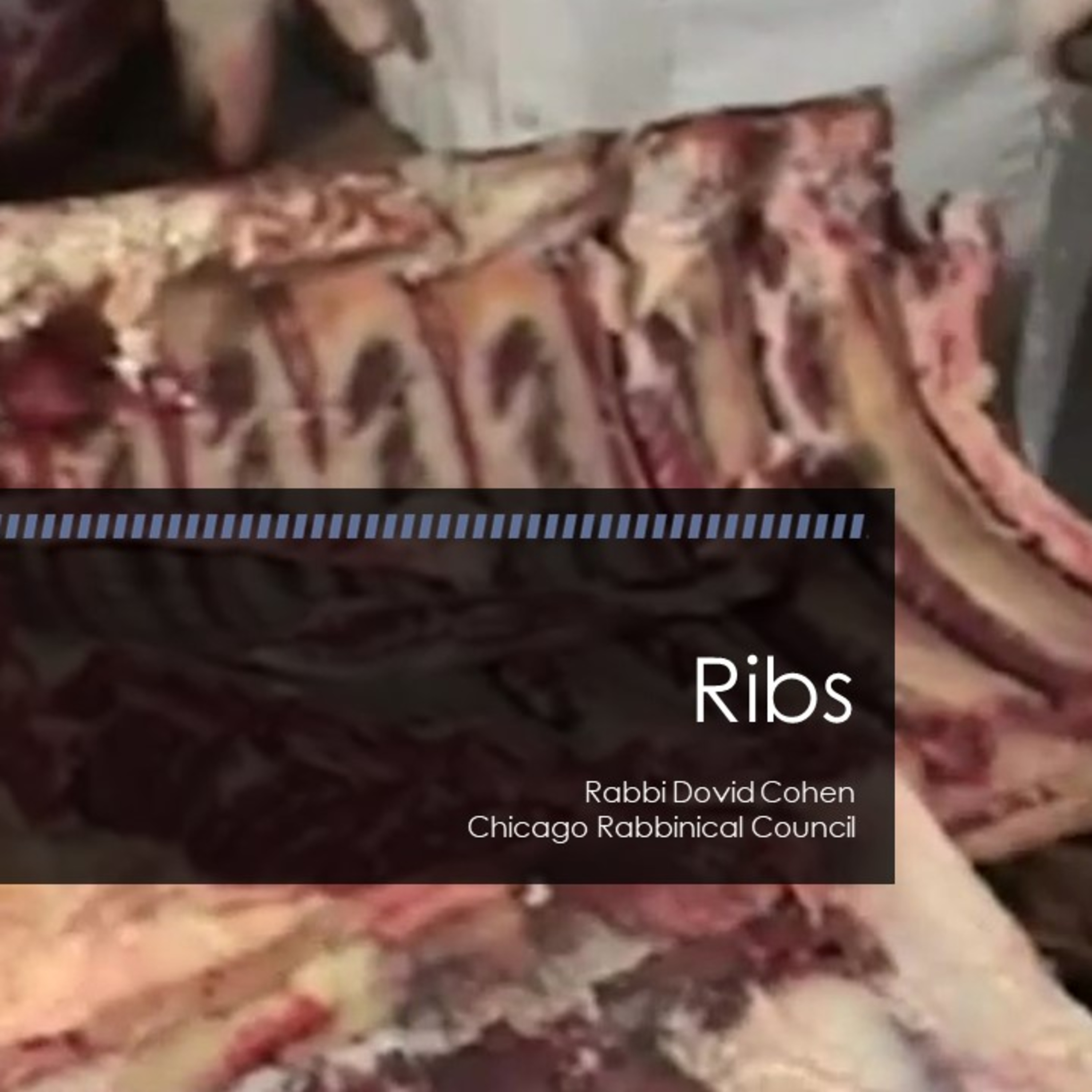 Ribs (Meat and Poultry #21 - Nikkur C) episode artwork