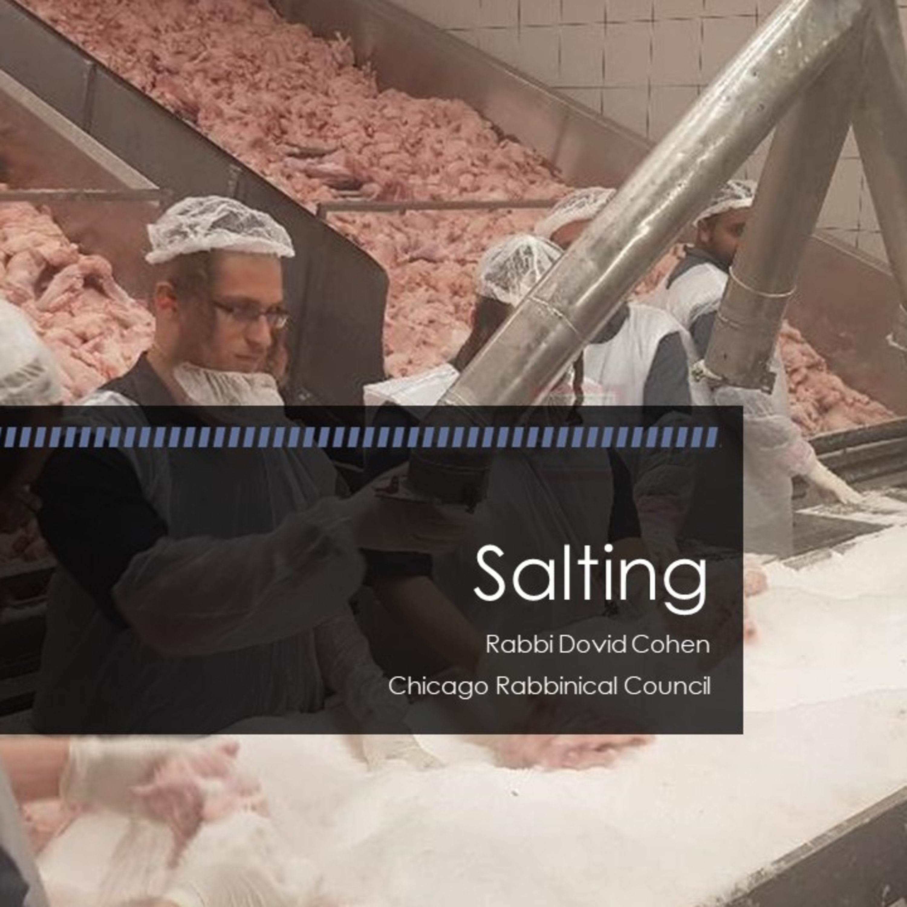 Salting (Meat and Poultry #28 - Melichah E) episode artwork
