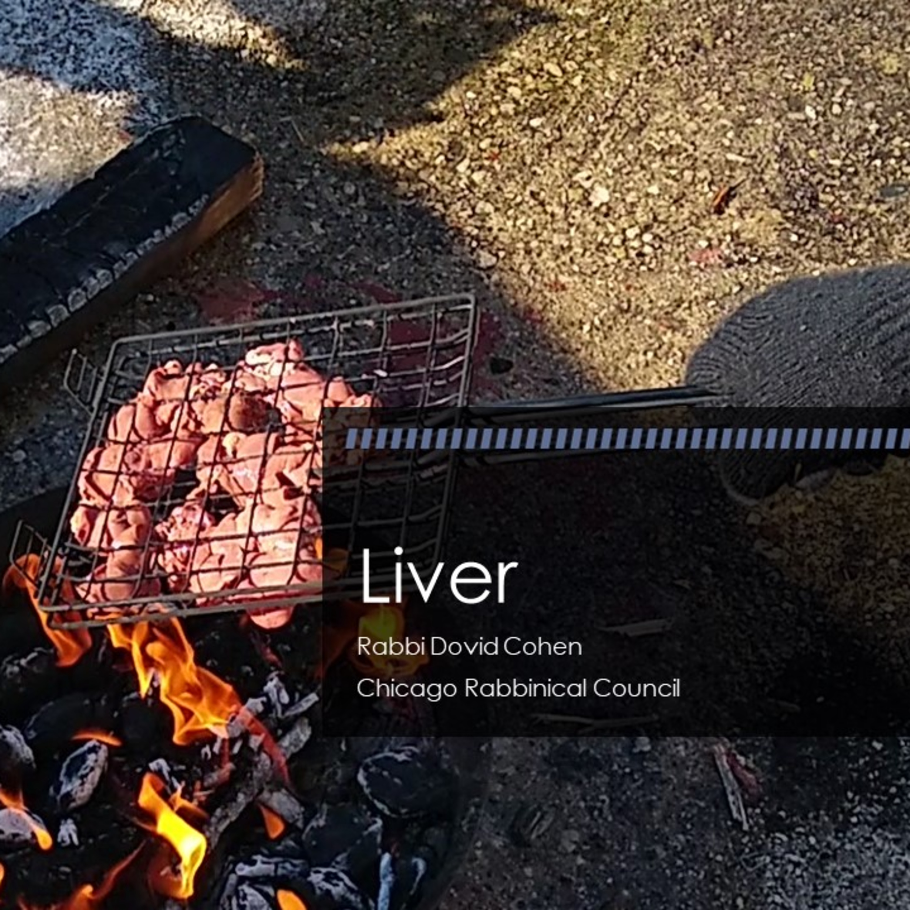 Liver (Meat and Poultry #30 - Melichah G) episode artwork