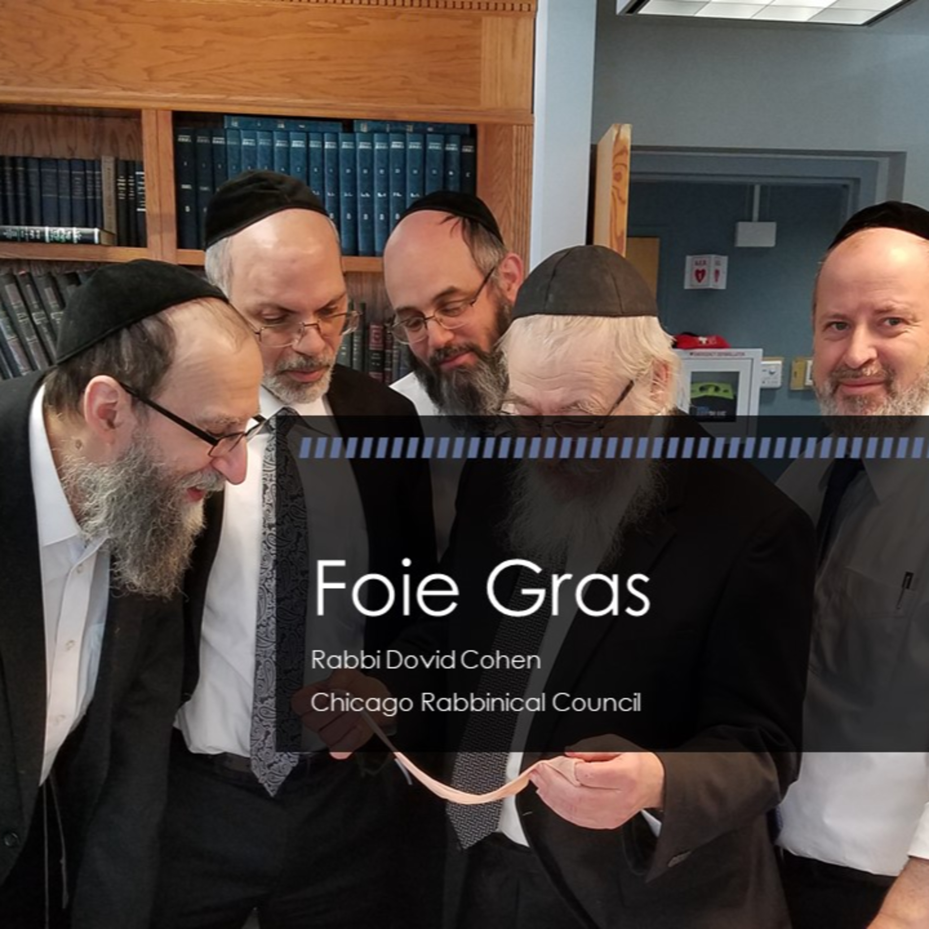 Foie Gras (Meat and Poultry #31 - Specific Parts A) episode artwork