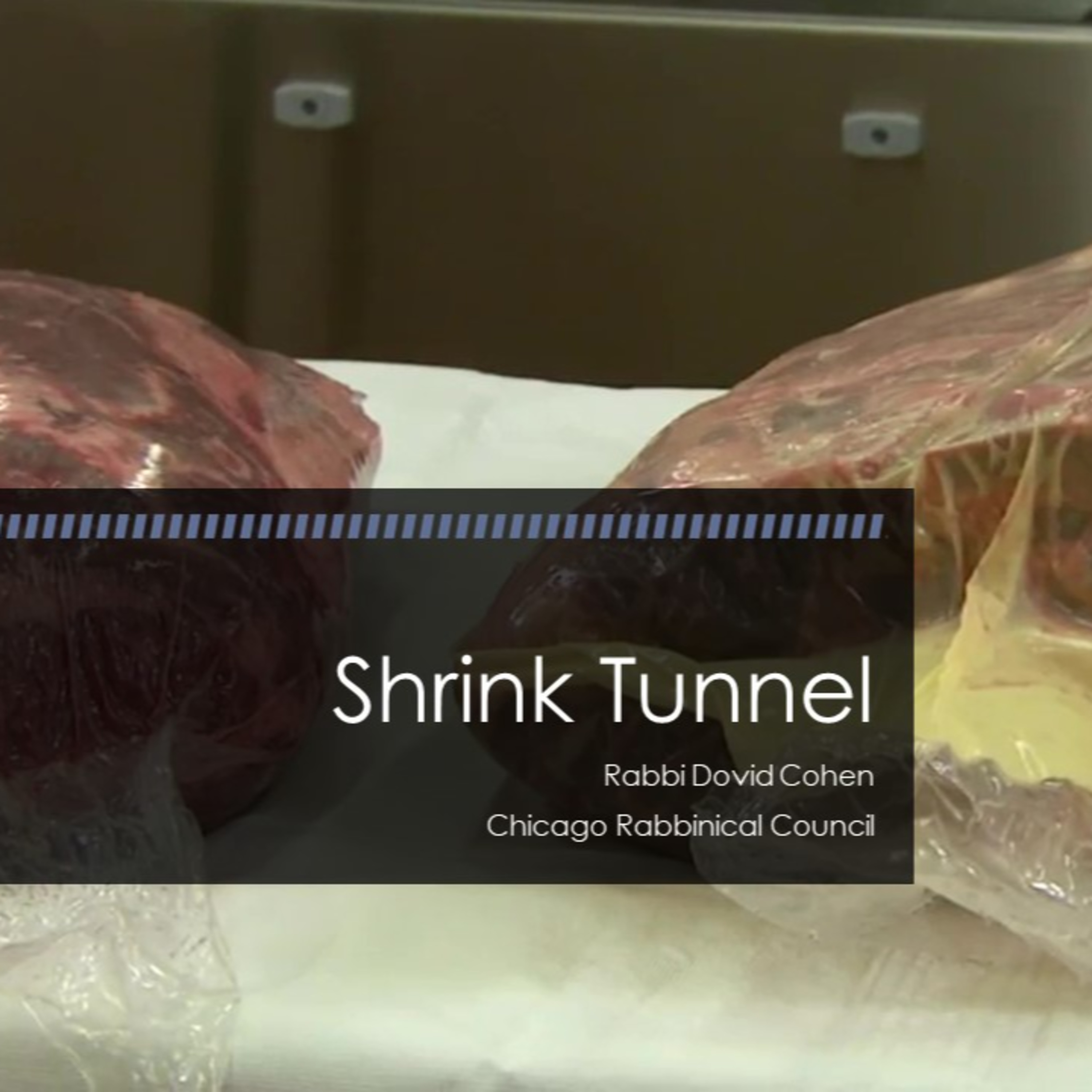 Shrink Tunnel (Meat and Poultry #33 - Packaging A) episode artwork