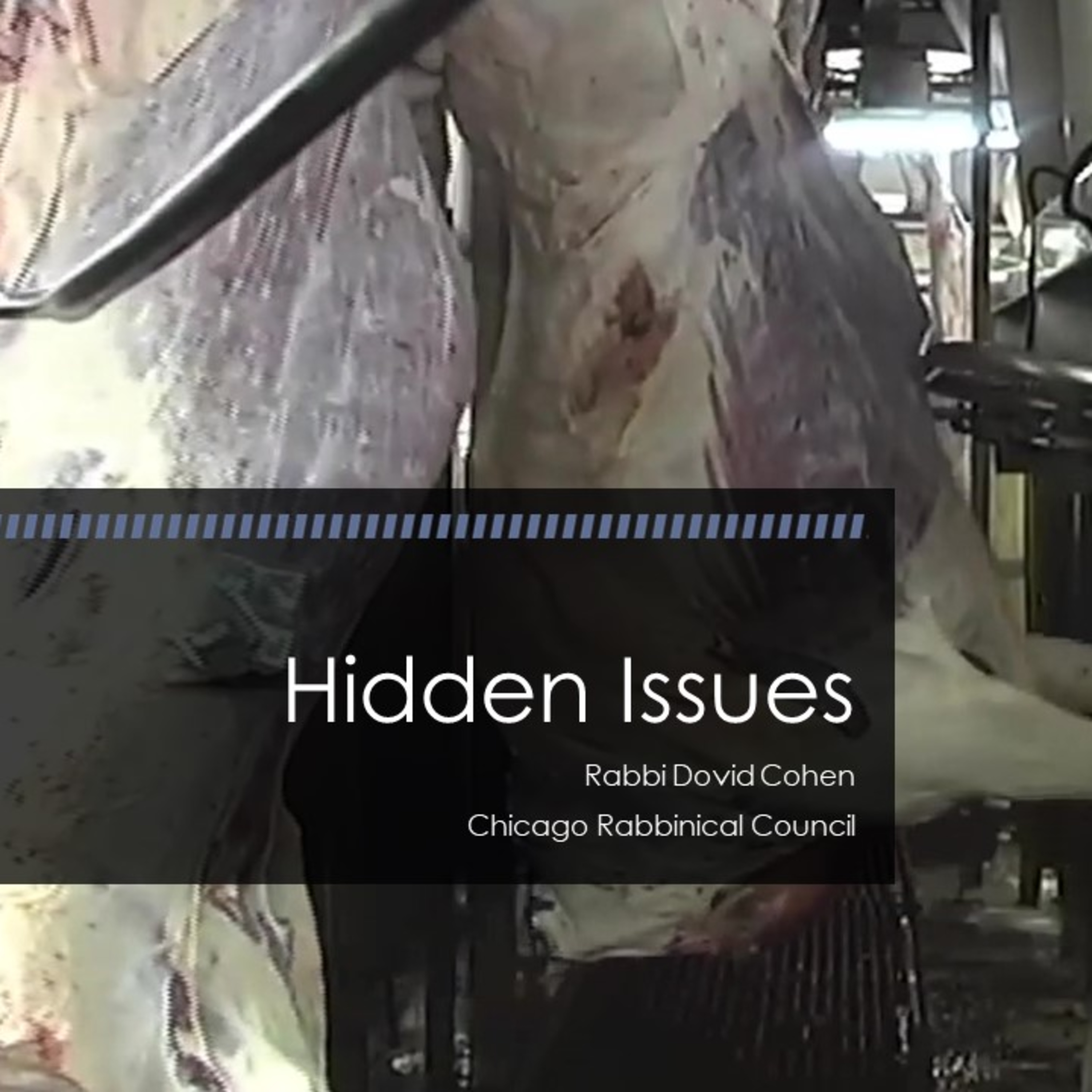 Hidden Issues (Meat and Poultry #36 - Miscellaneous A) episode artwork