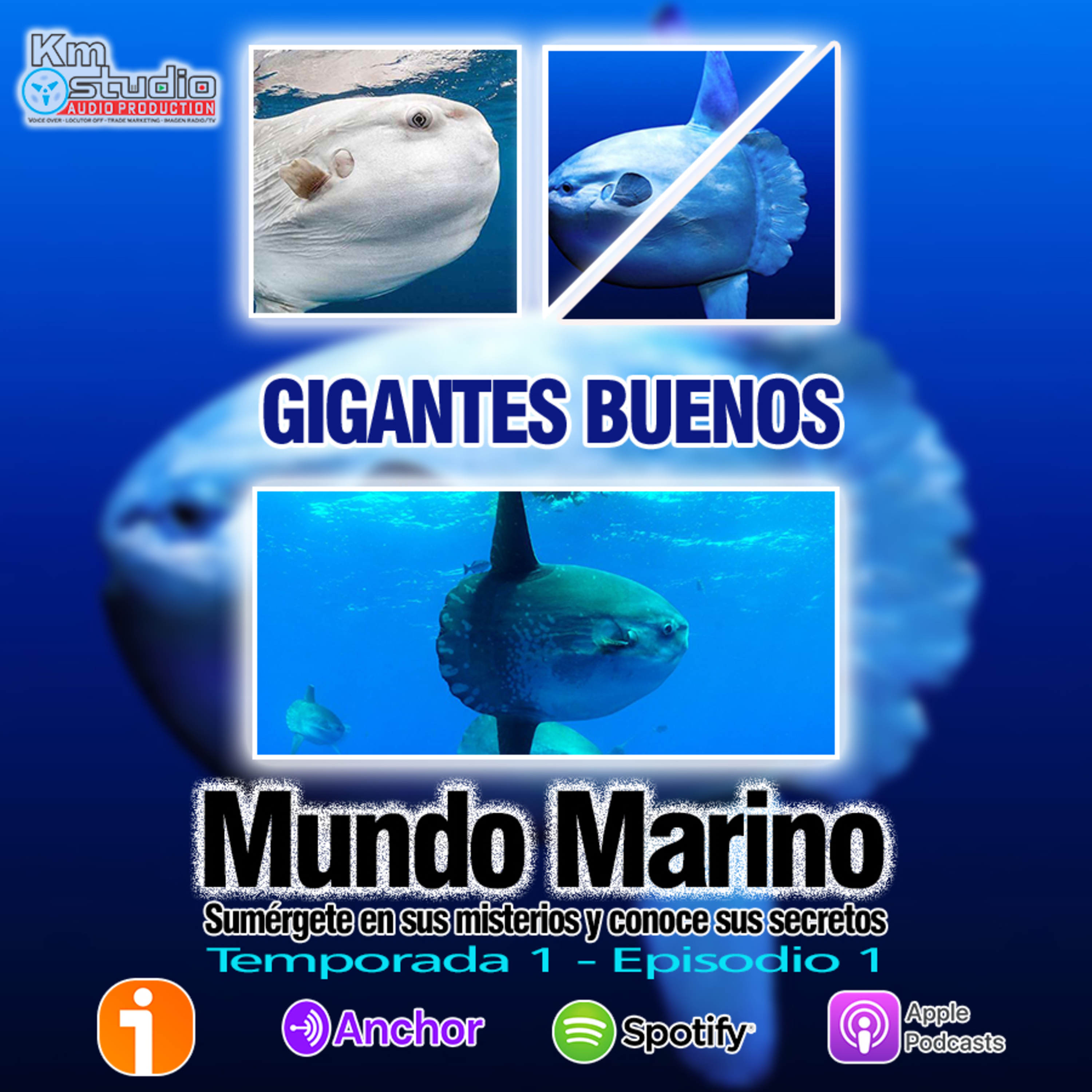 Mundo Marino