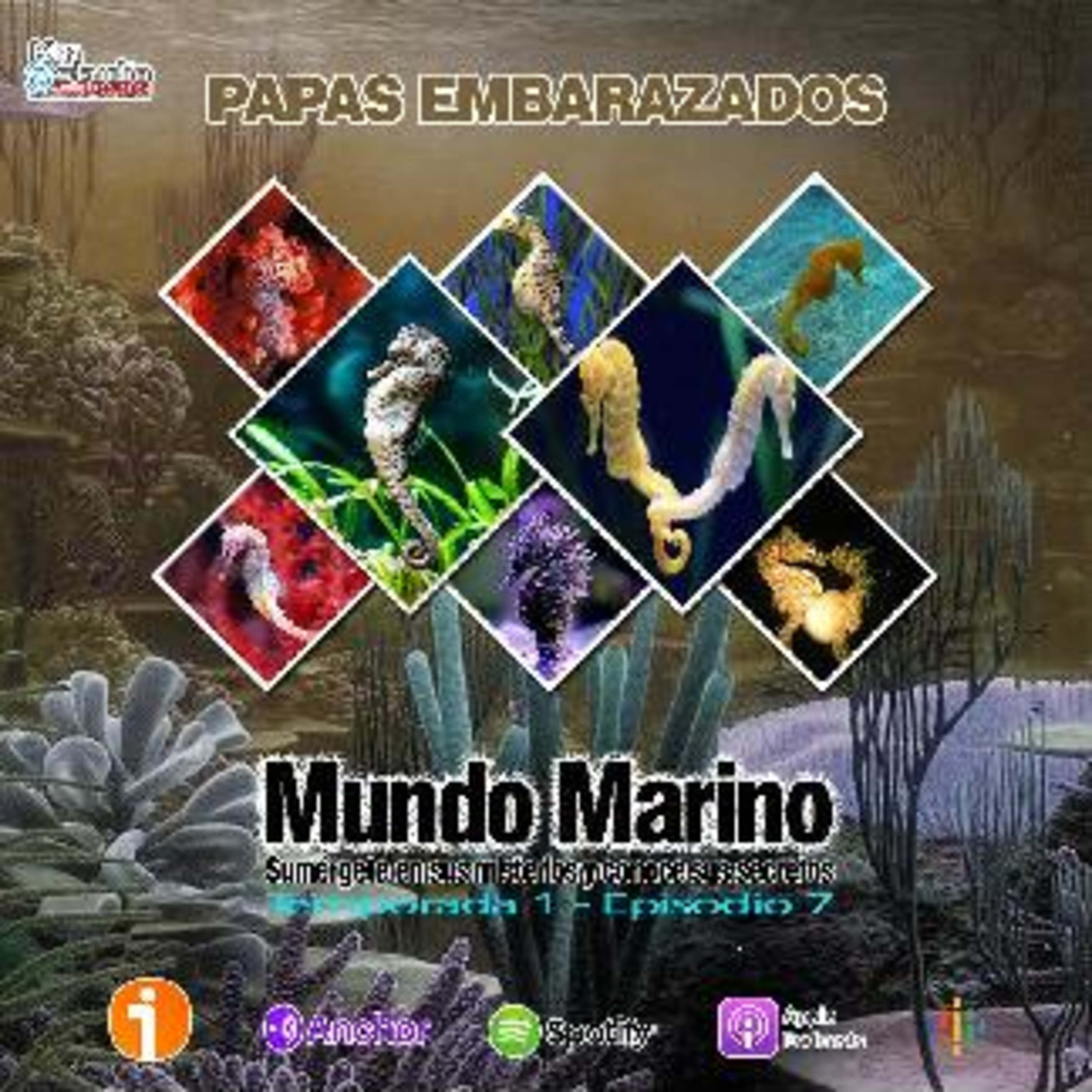 Mundo Marino
