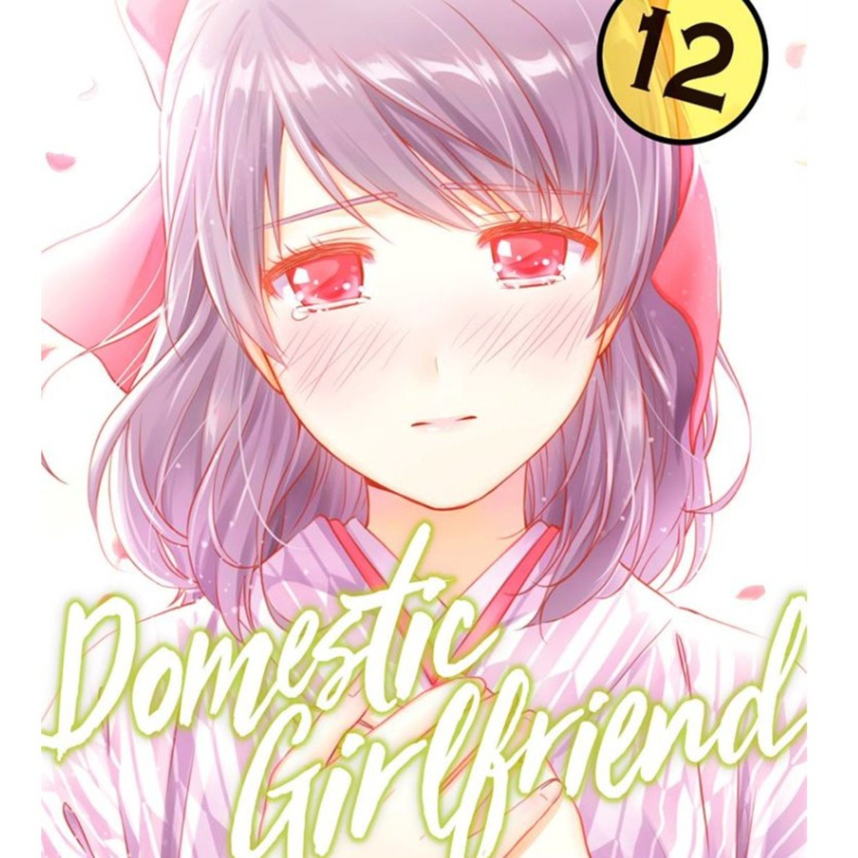 Domestic Girlfriend volume 12 highlights Delusional Otaku  episode artwork