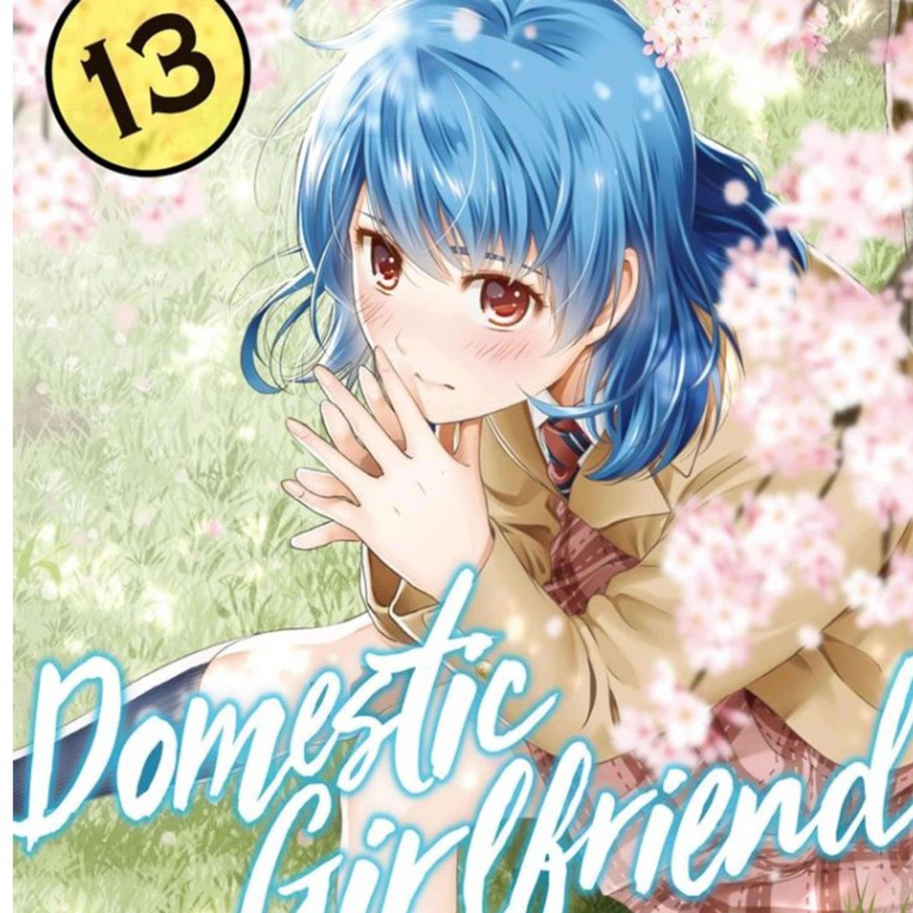 Domestic Girlfriend volume 13 highlights Delusional Otaku episode artwork