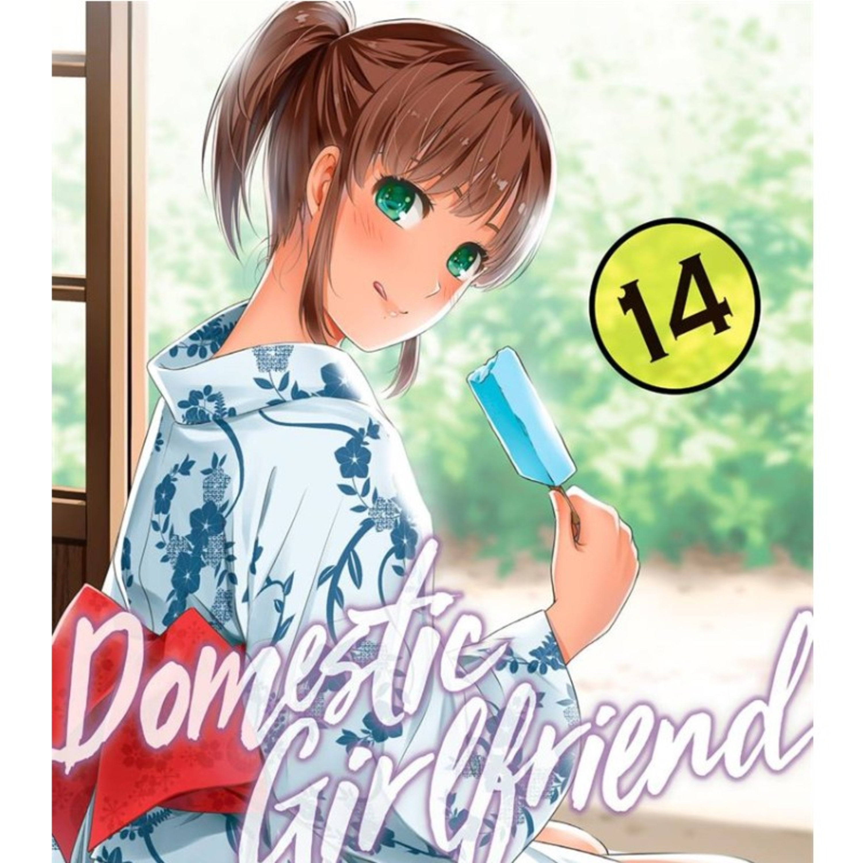 Domestic Girlfriend volume 14 highlights Delusional Otaku episode artwork