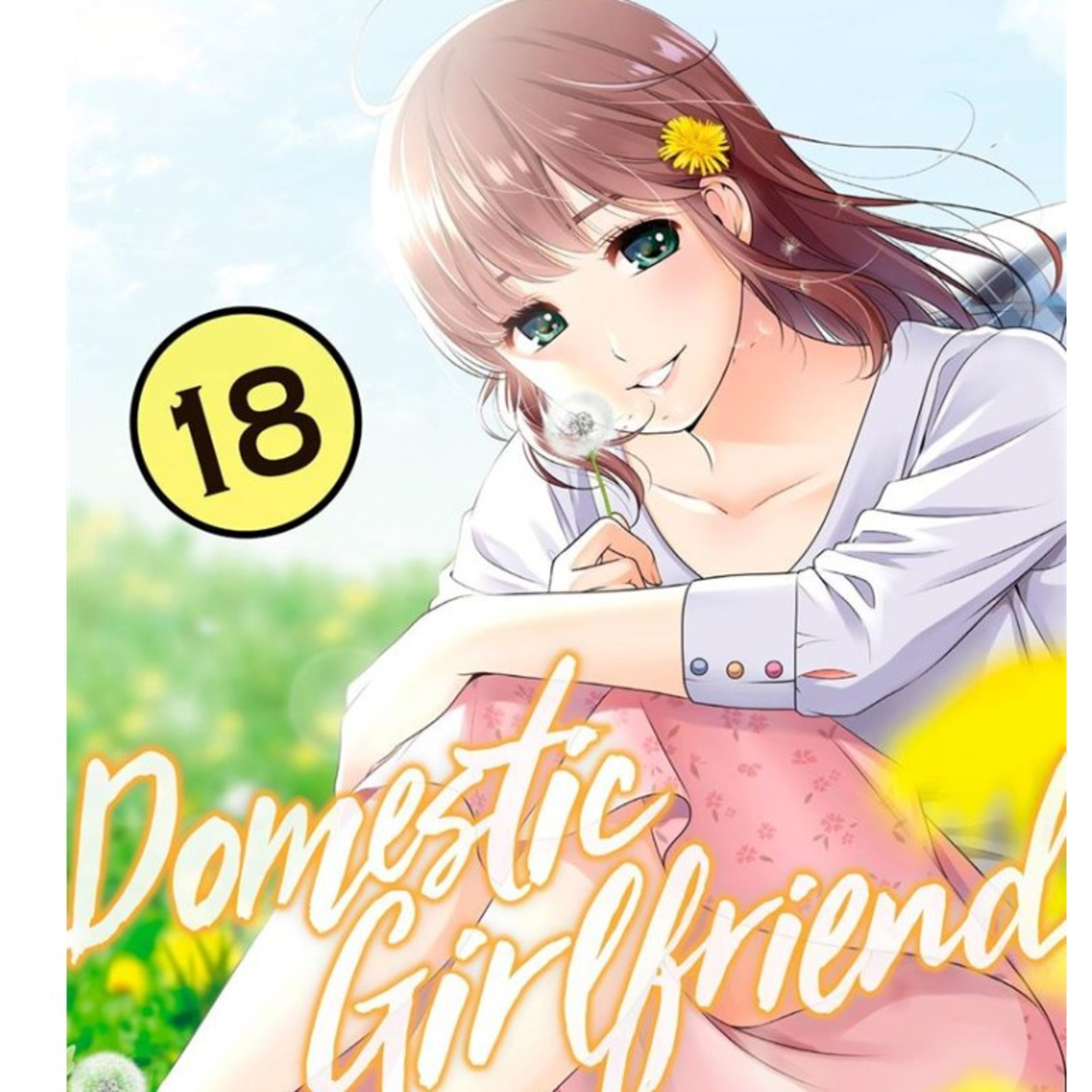 Domestic Girlfriend volume 18 highlights Delusional Otaku episode artwork