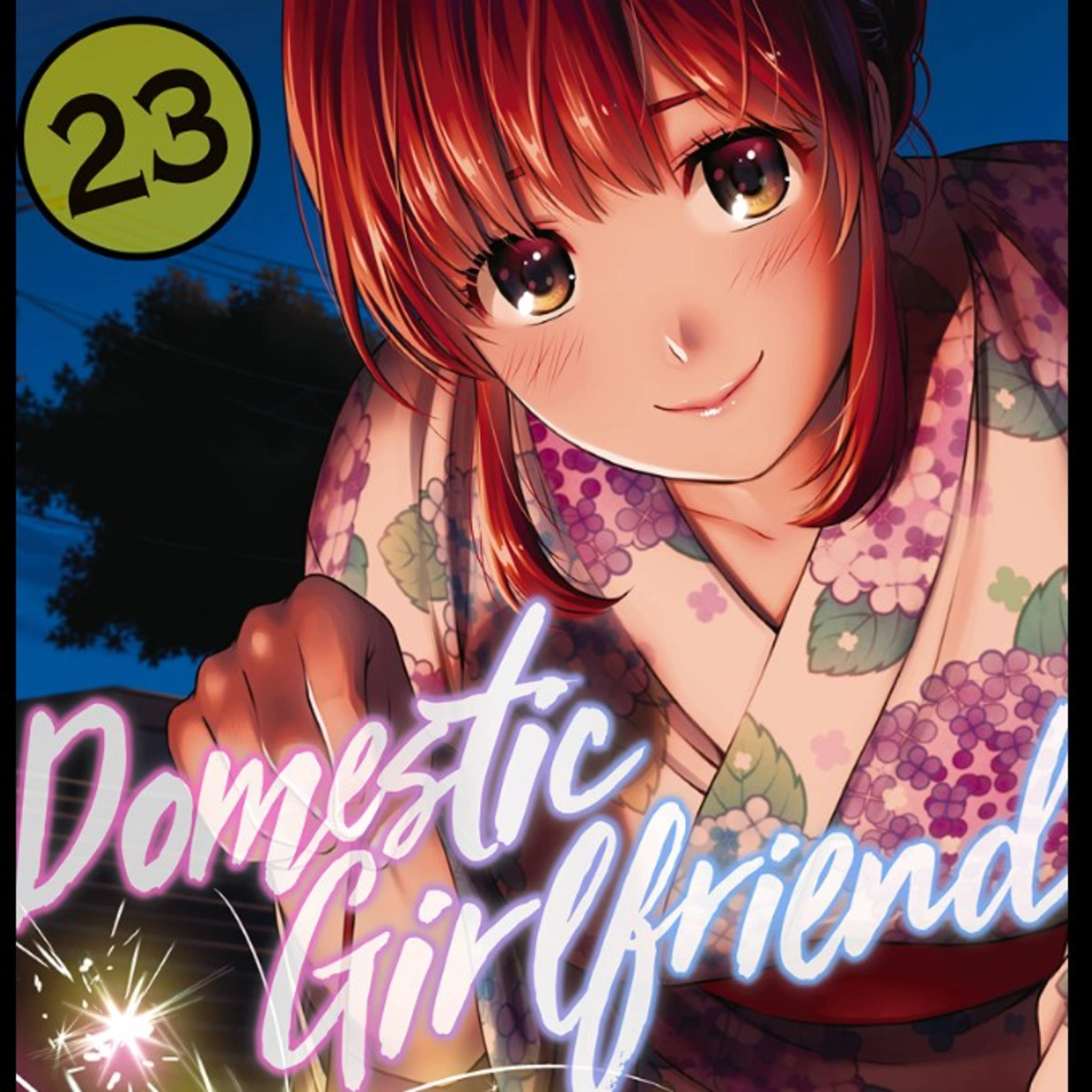 Domestic Girlfriend volume 23 highlights Delusional Otaku episode artwork