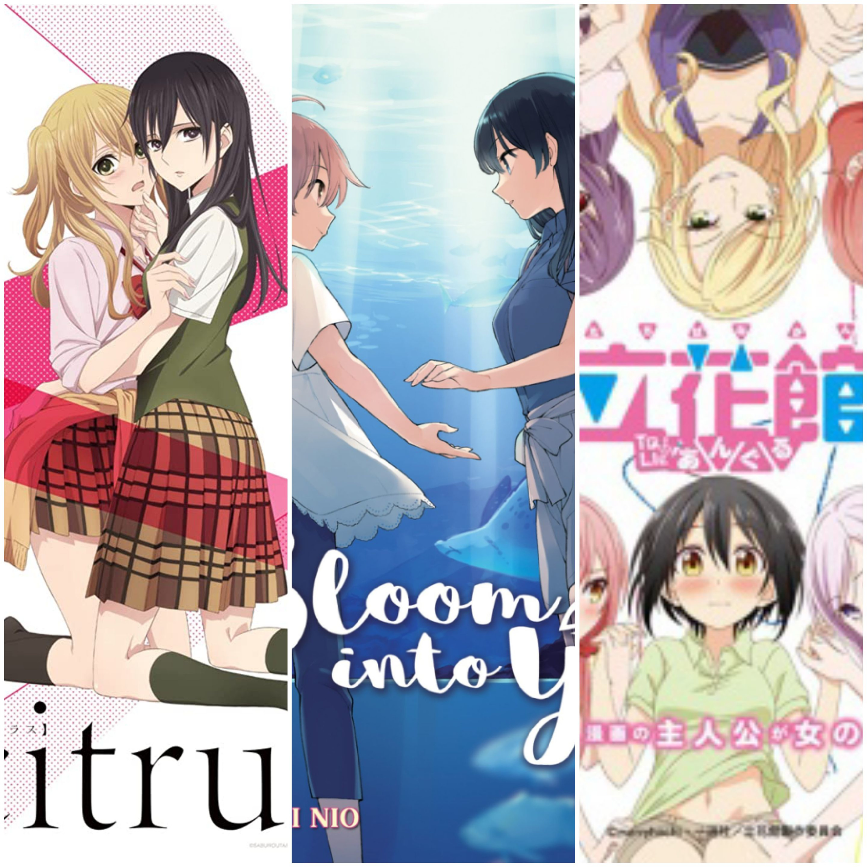 3 anime lesbian you should see Citrus, Bloom into you and love to lie triangle  episode artwork