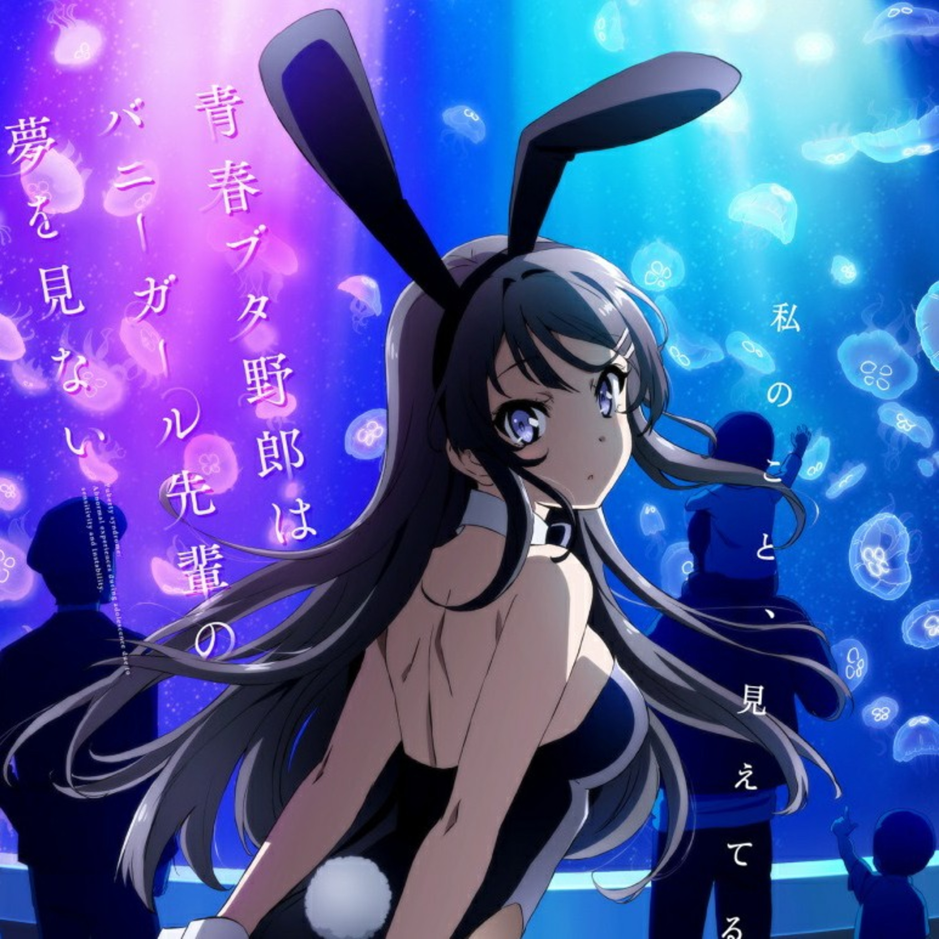 Rascal Does Not Dream of Bunny Girl Senpai anime and movie episode artwork