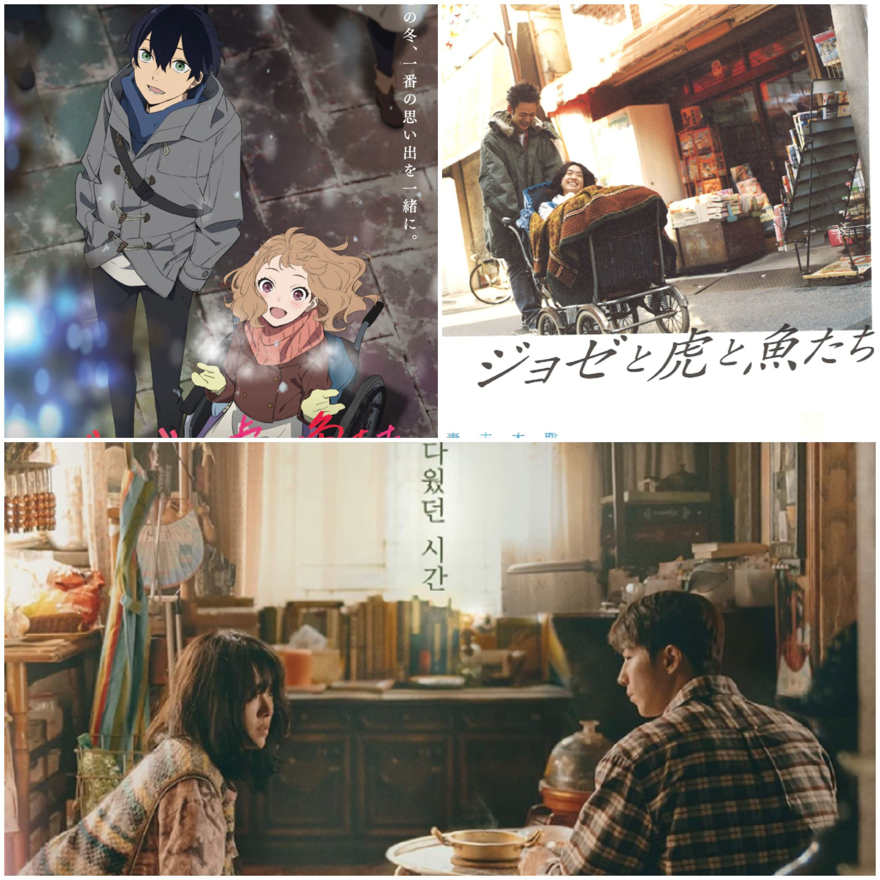 Josee, the Tiger and the Fish (ジョゼと虎と魚たち, anime, Japanese live action and korean  episode artwork