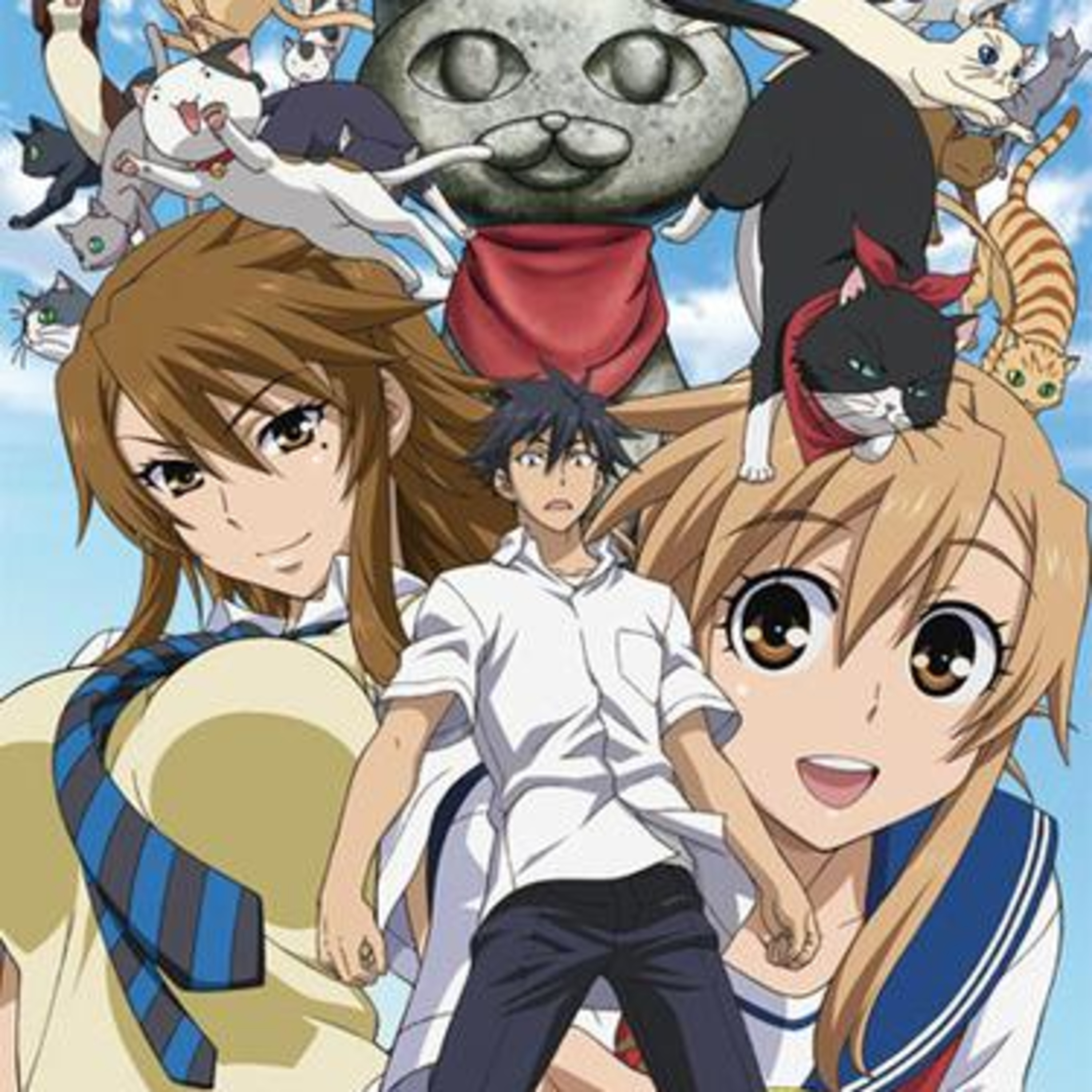 Let's talk about anime: Meow Love (Nyan Koi!) episode artwork