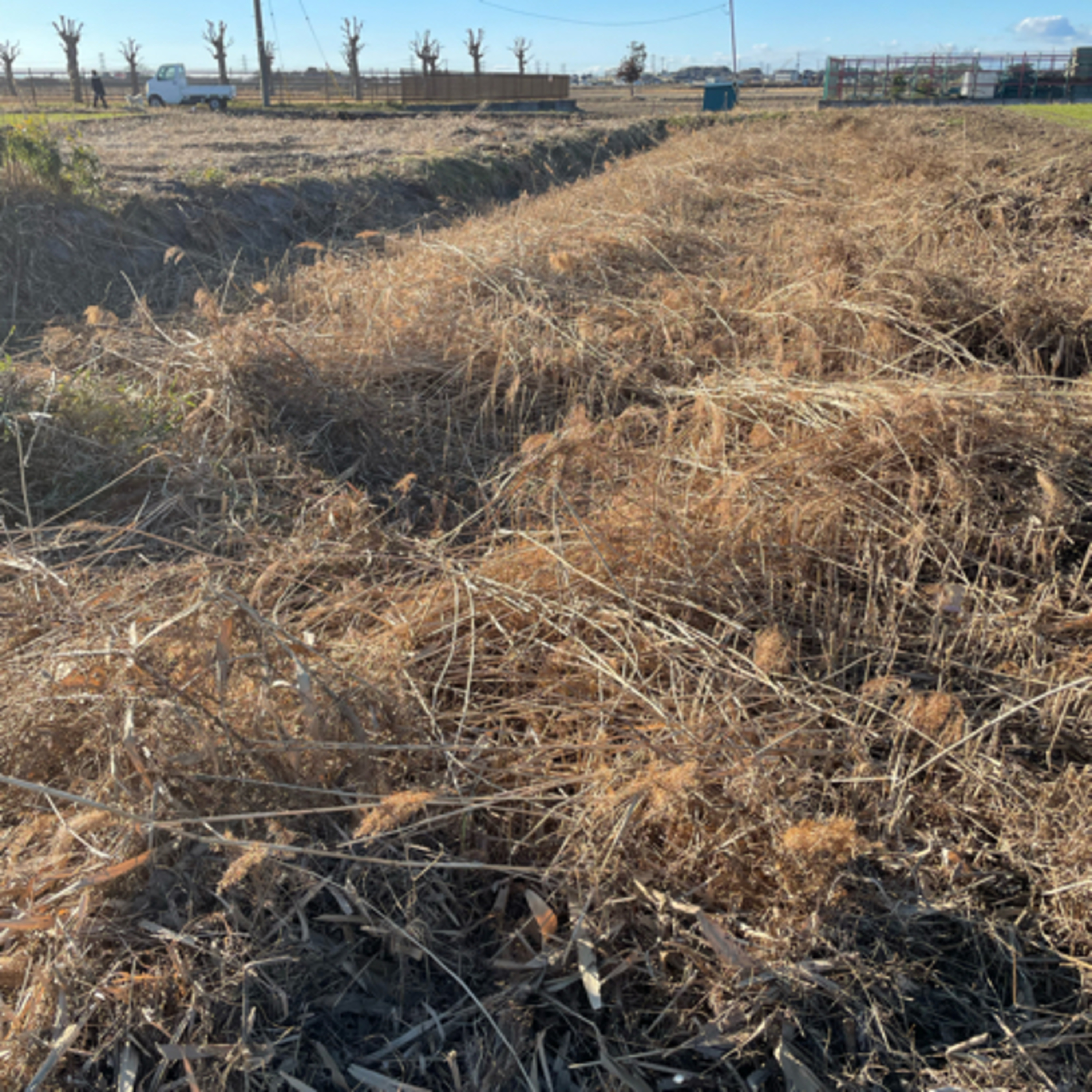 朝の目覚めるラジオ