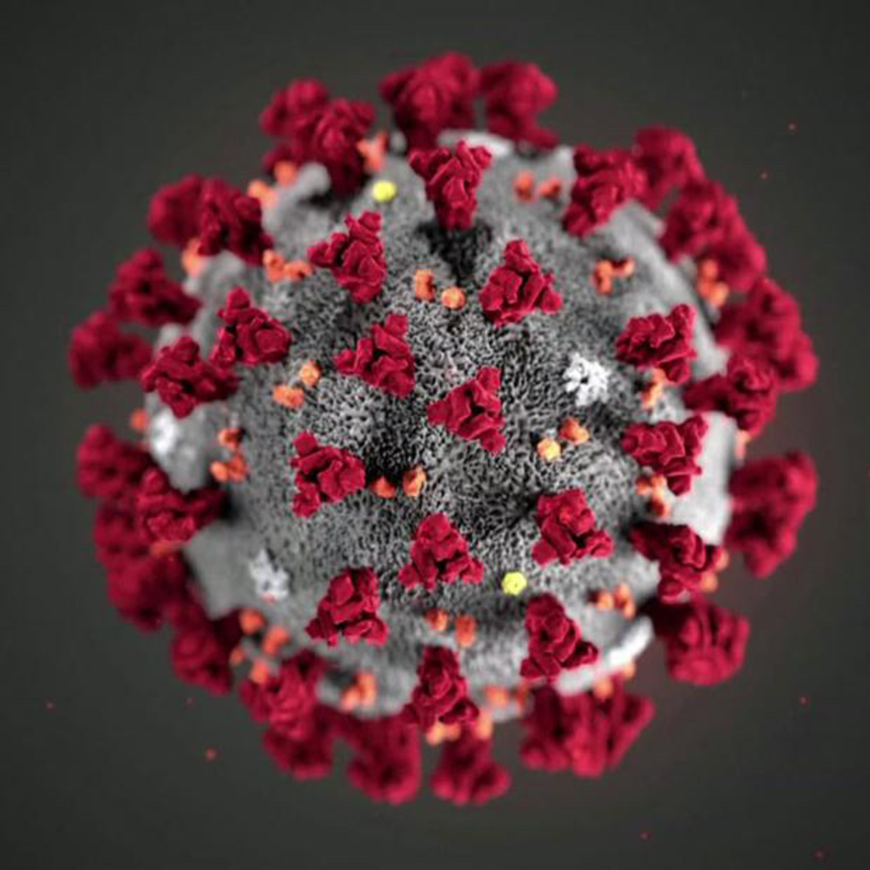 The Naked Newsletter