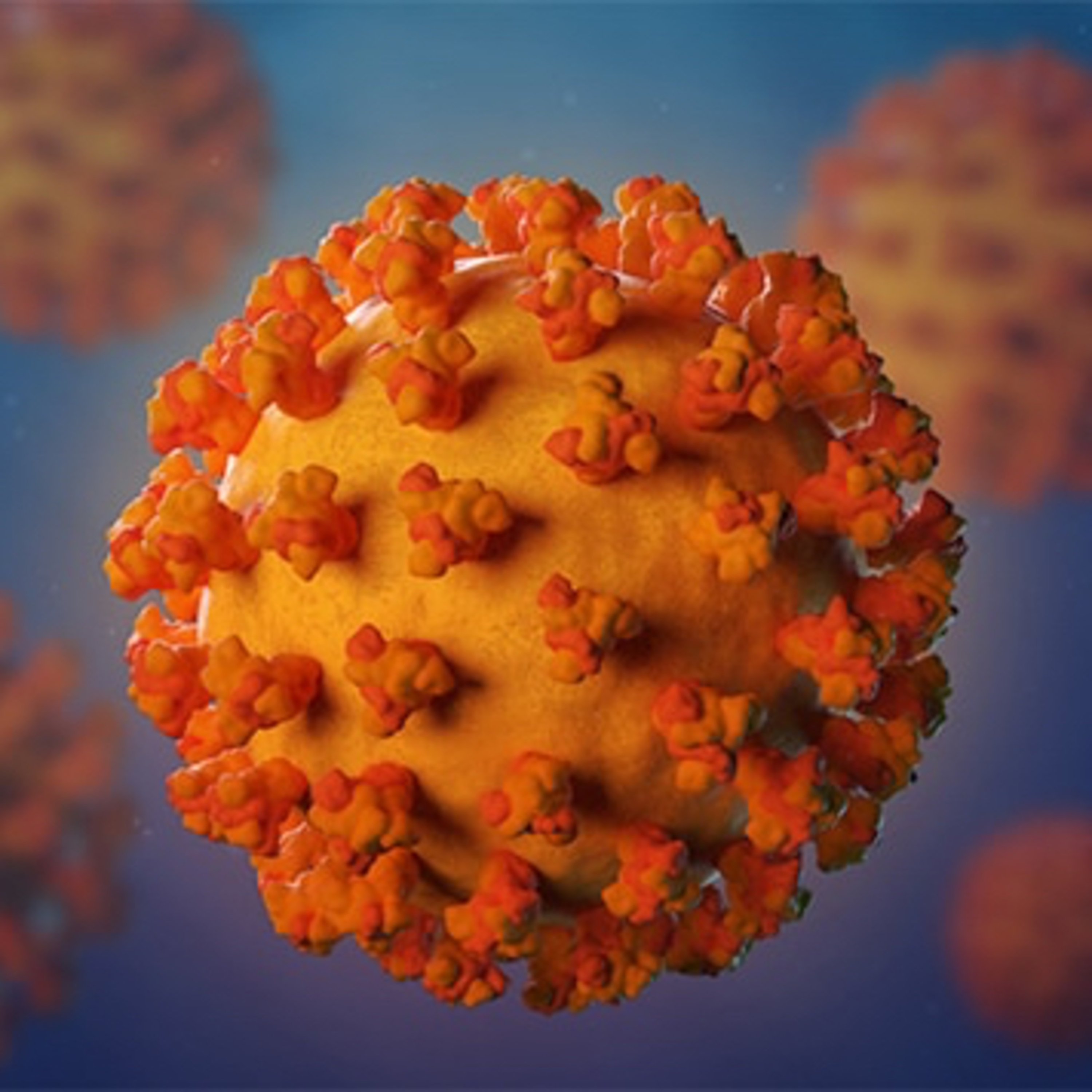 The Naked Newsletter