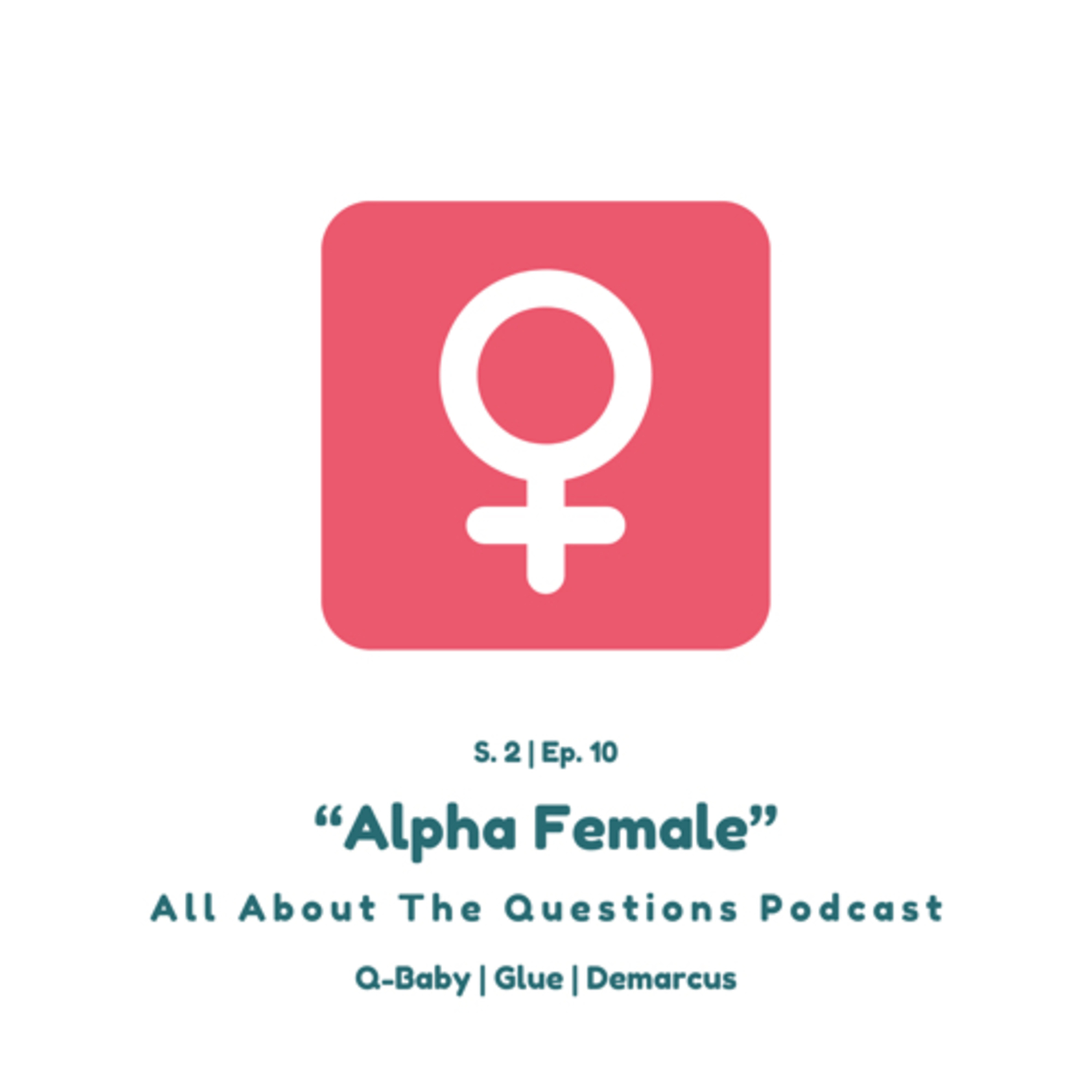 All About The Questions