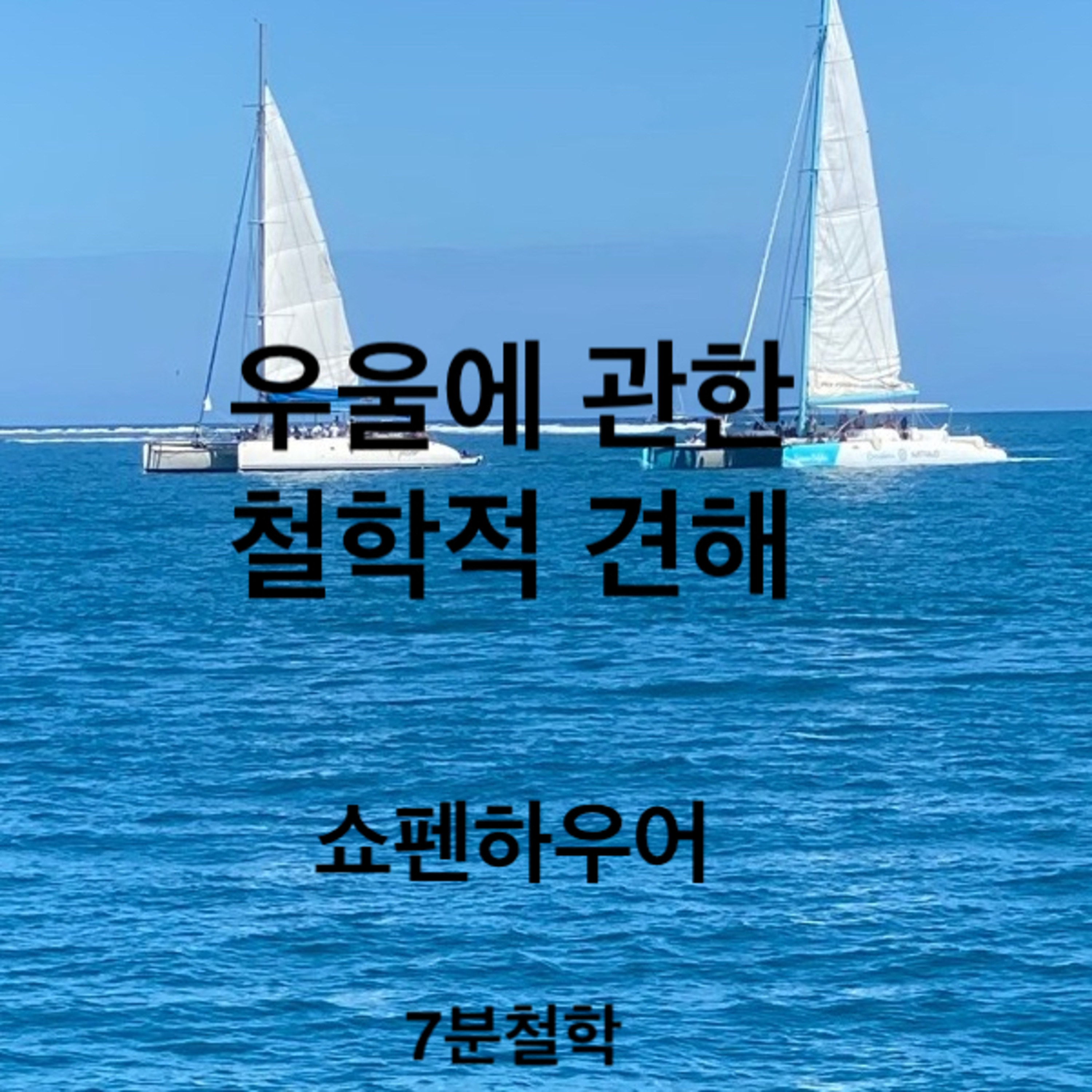 7분철학, 쇼펜하우어, 우울힐링 episode artwork