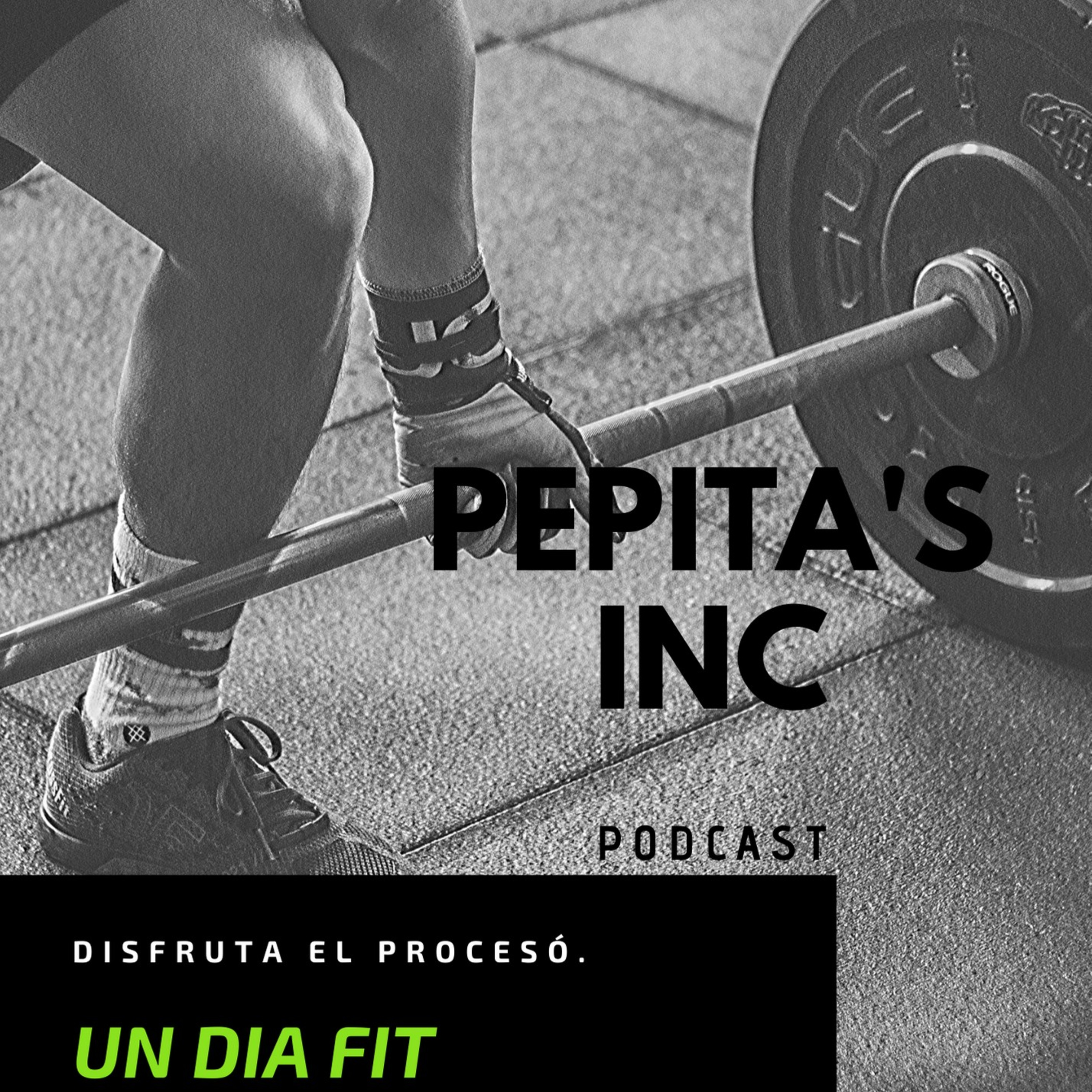UN DIA FIT. episode artwork