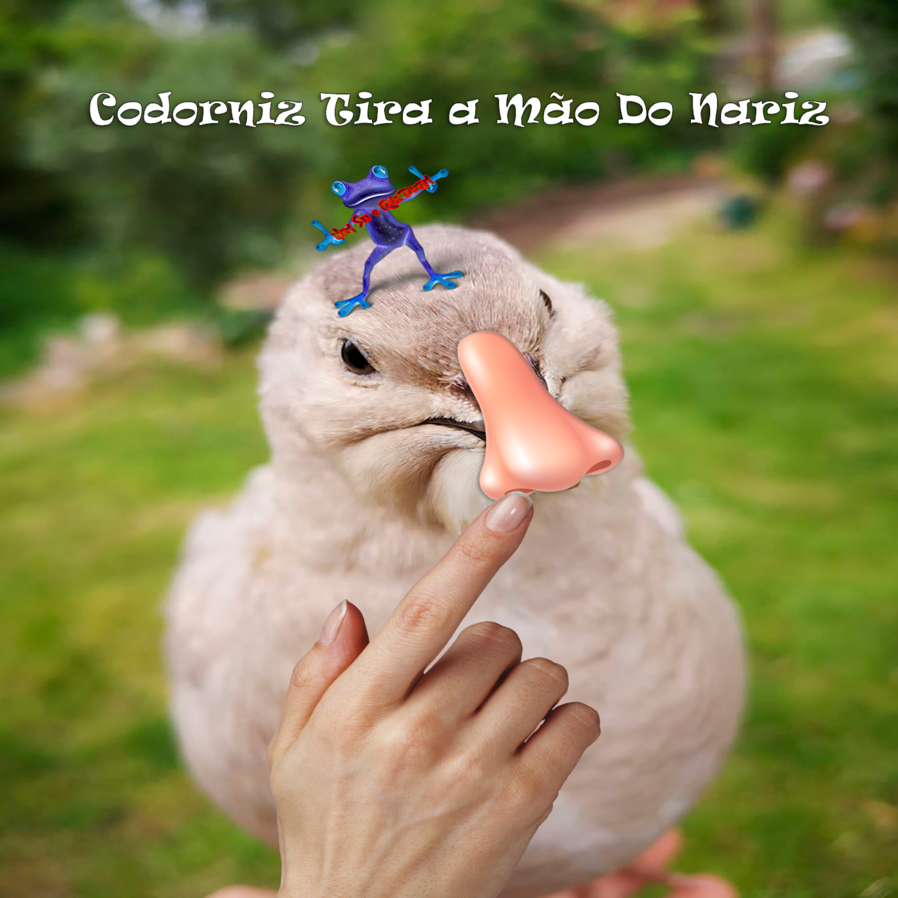 Nem Sei o Que Dizem