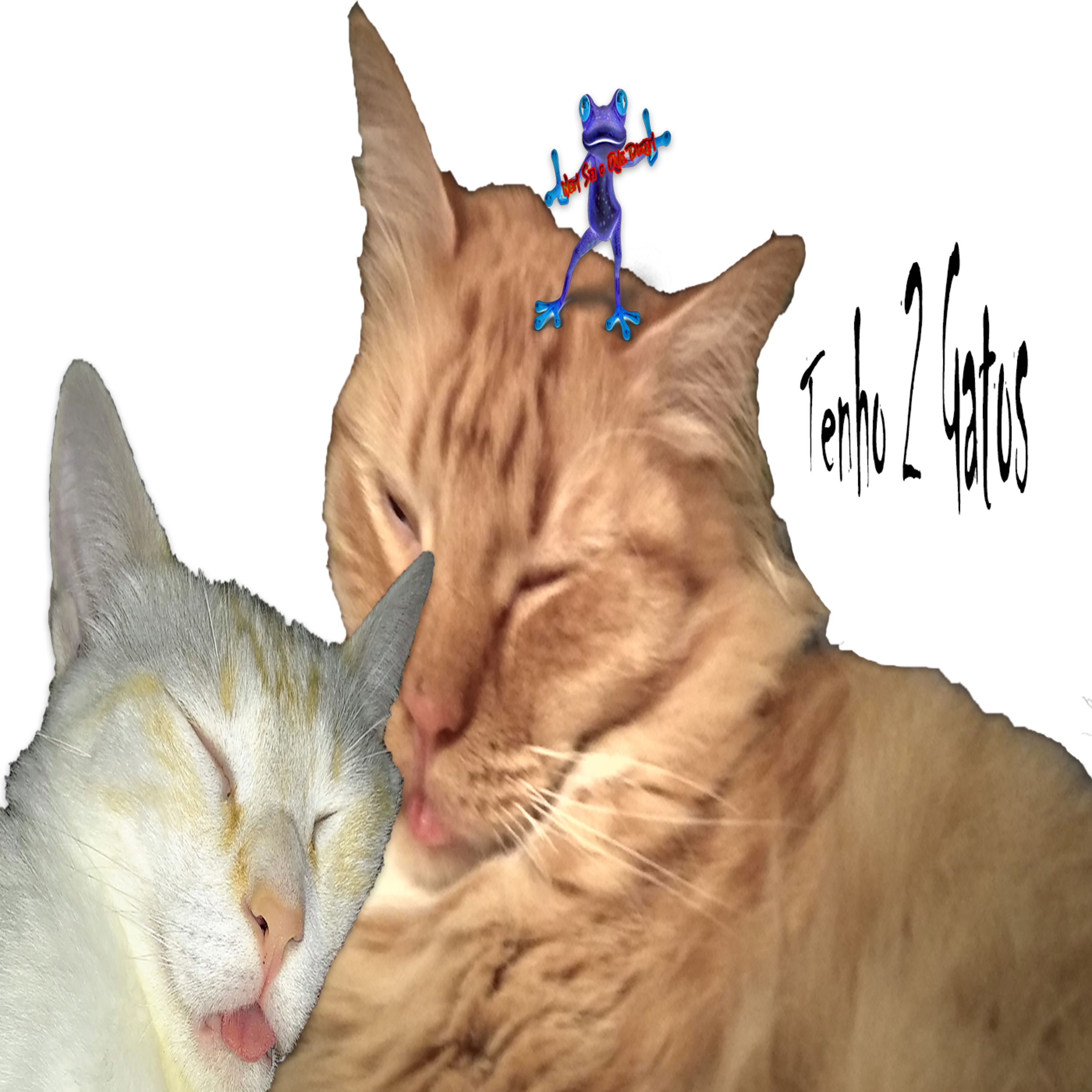 Tenho 2 Gatos - "Música" - Episódio 363 episode artwork