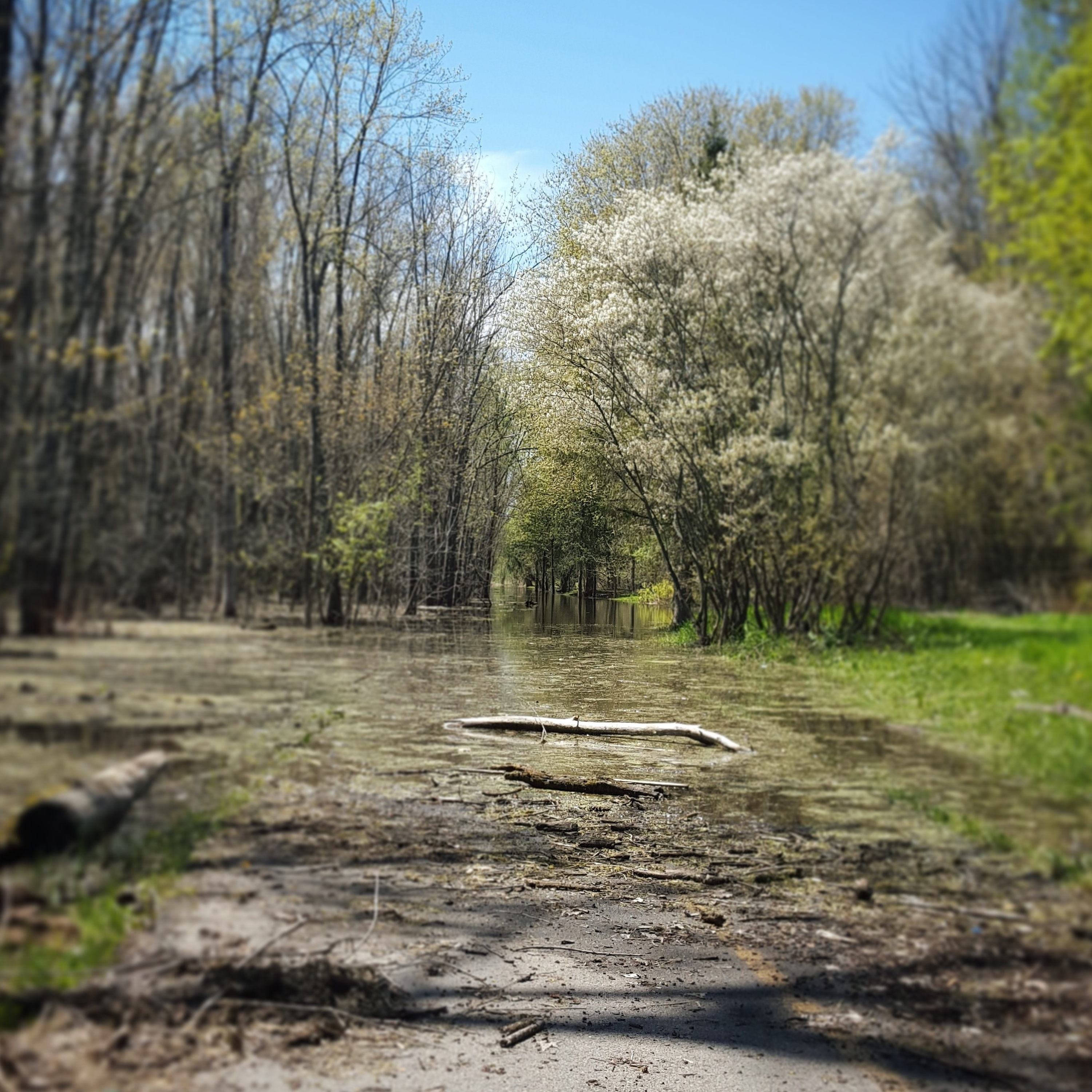 Walking Meditation episode artwork