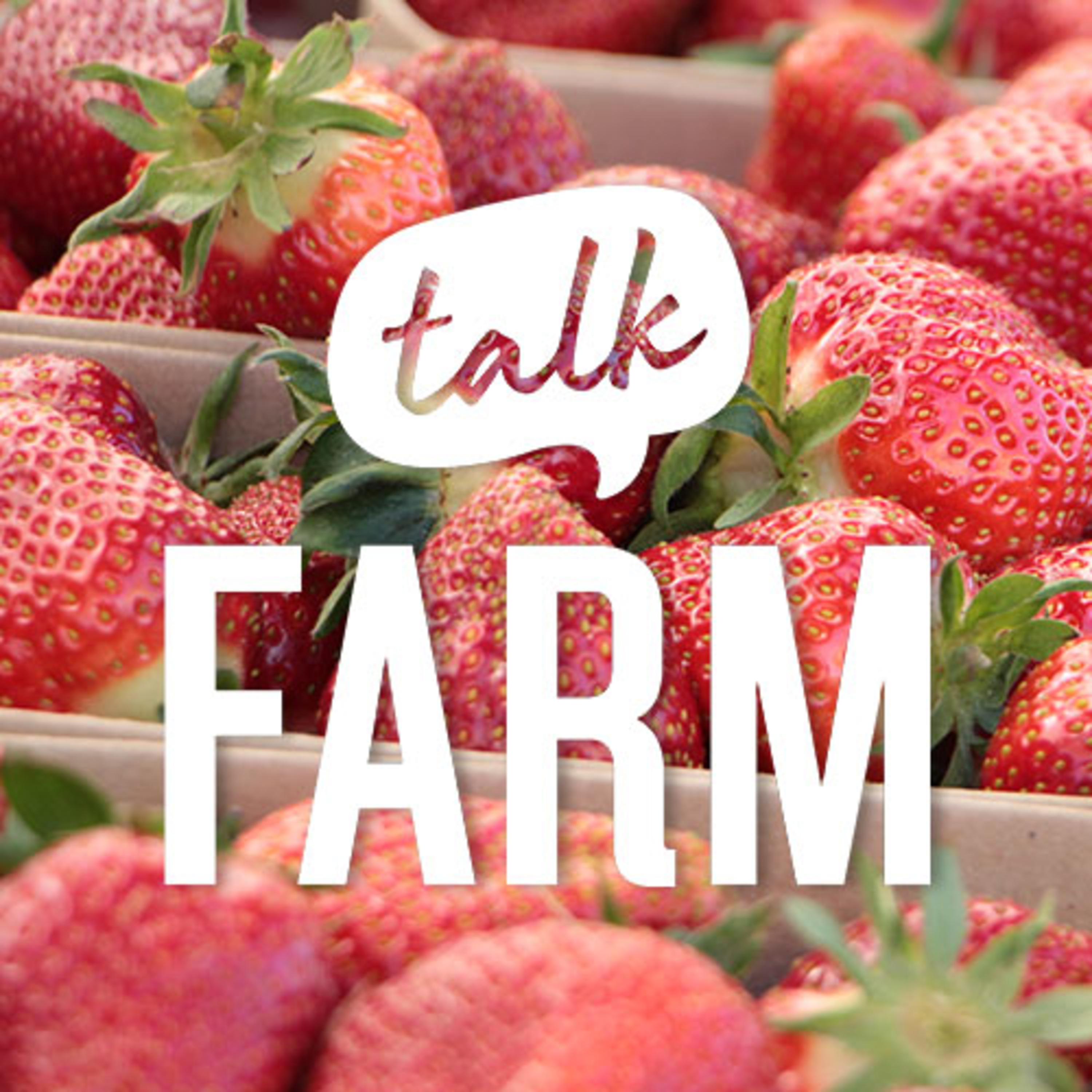 FarmTalk