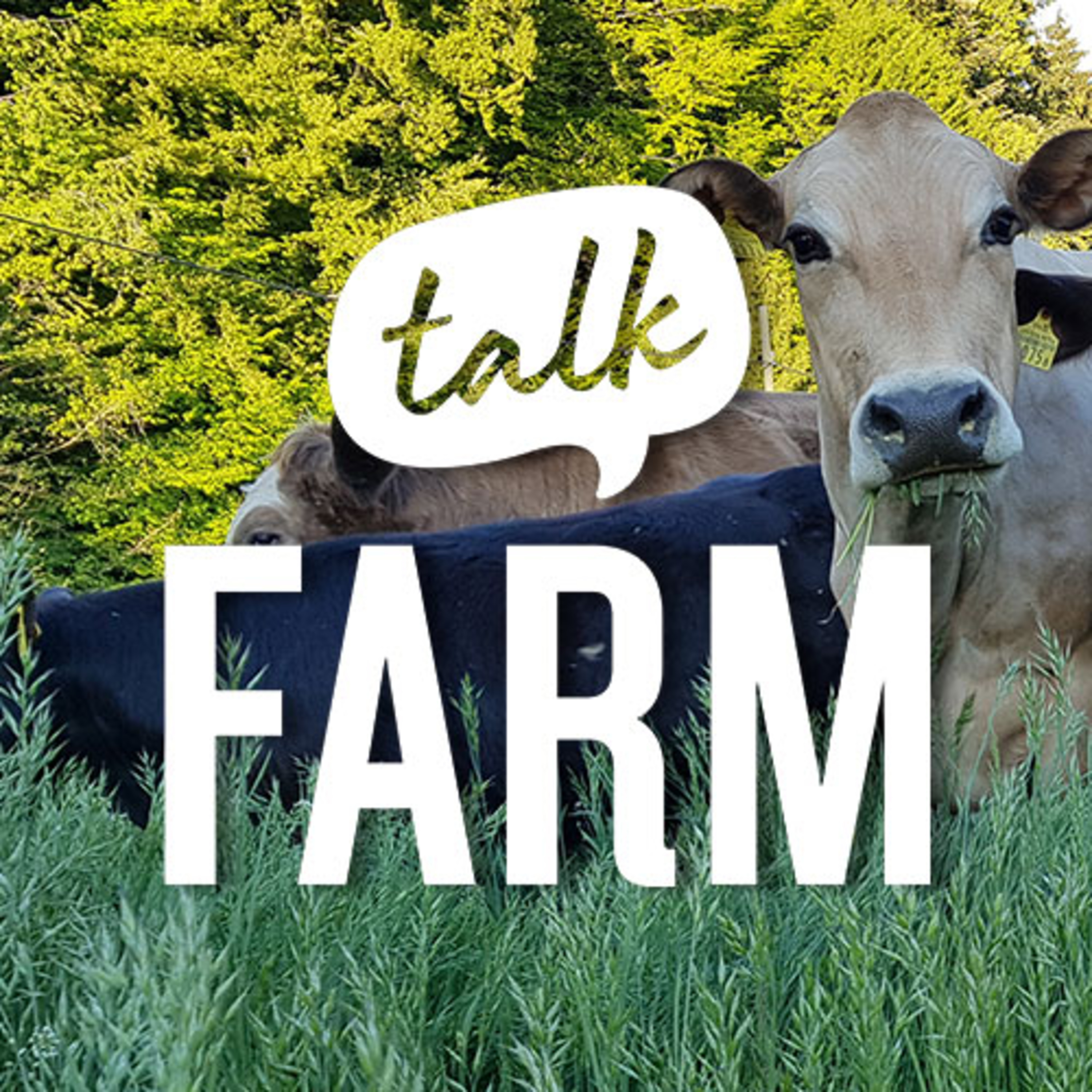 FarmTalk