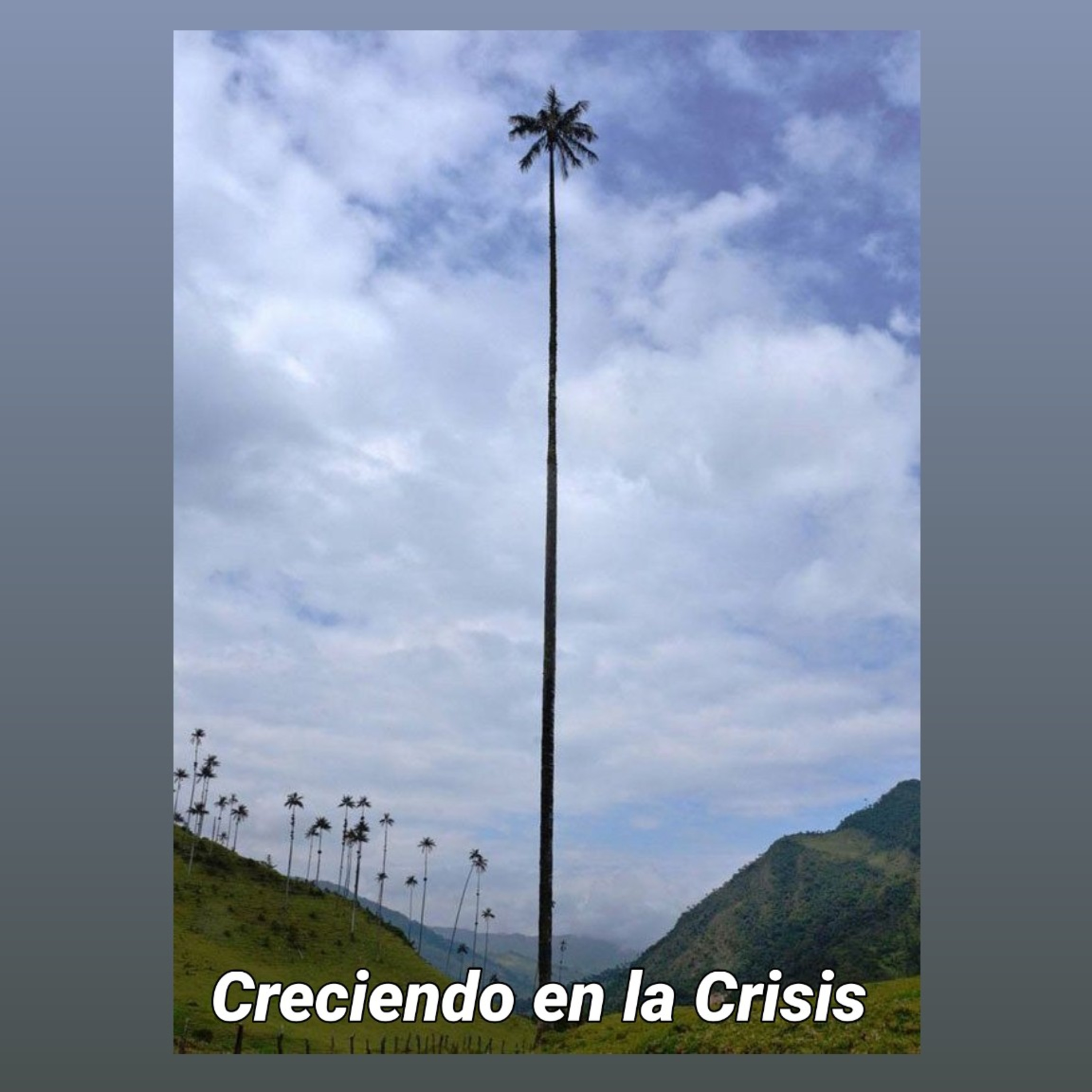 Preferidos de Dios