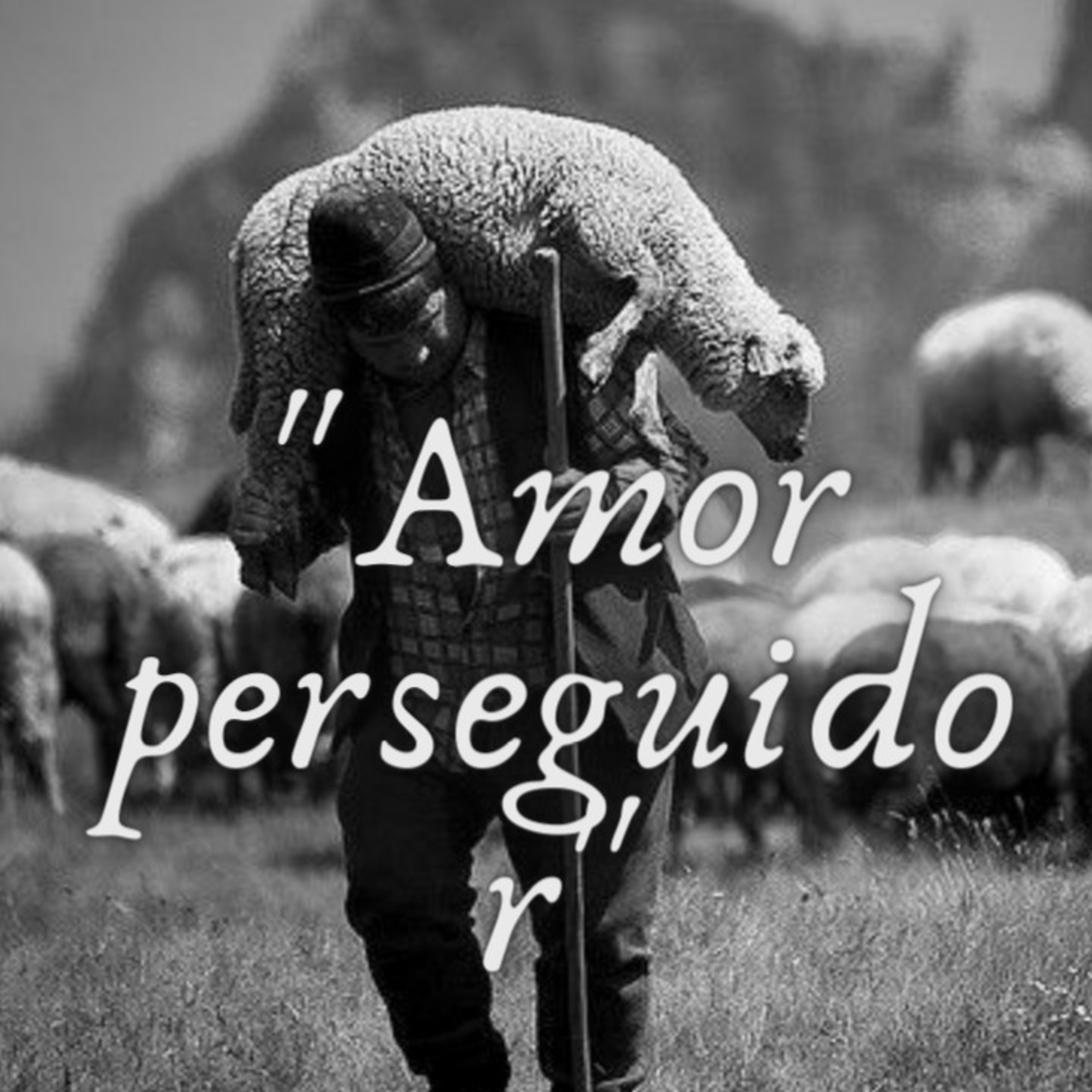 Preferidos de Dios