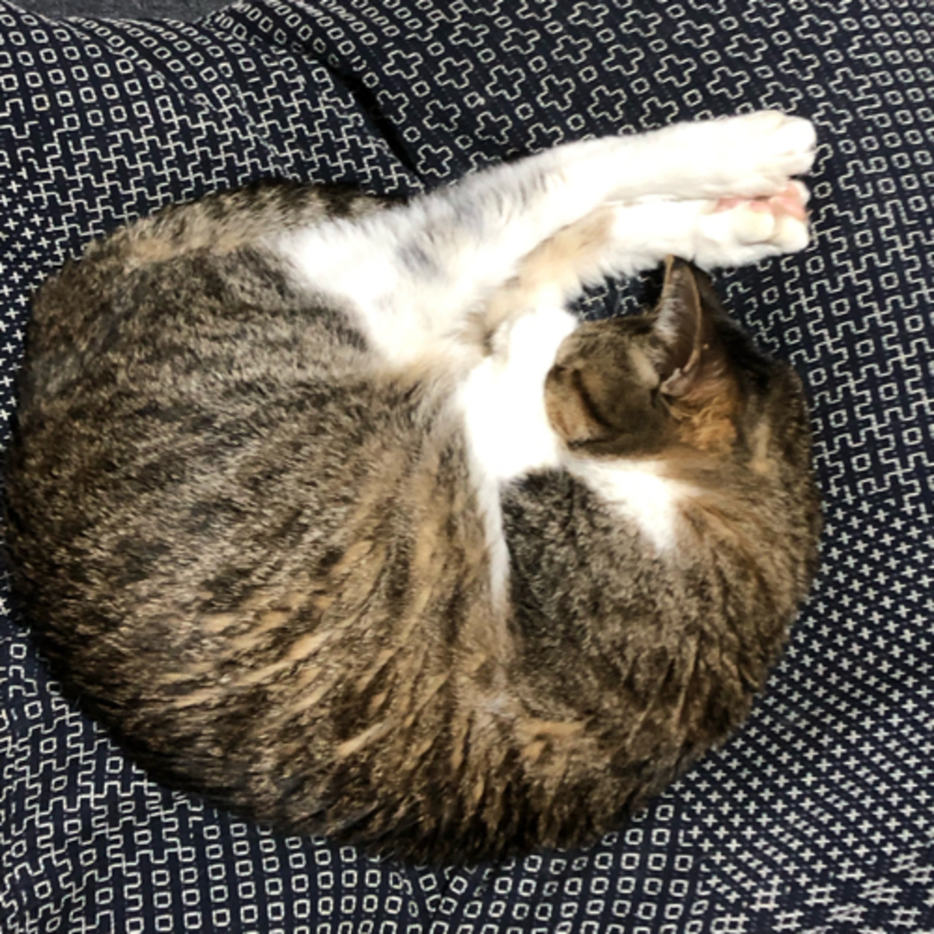 黄色いポッドキャスト
