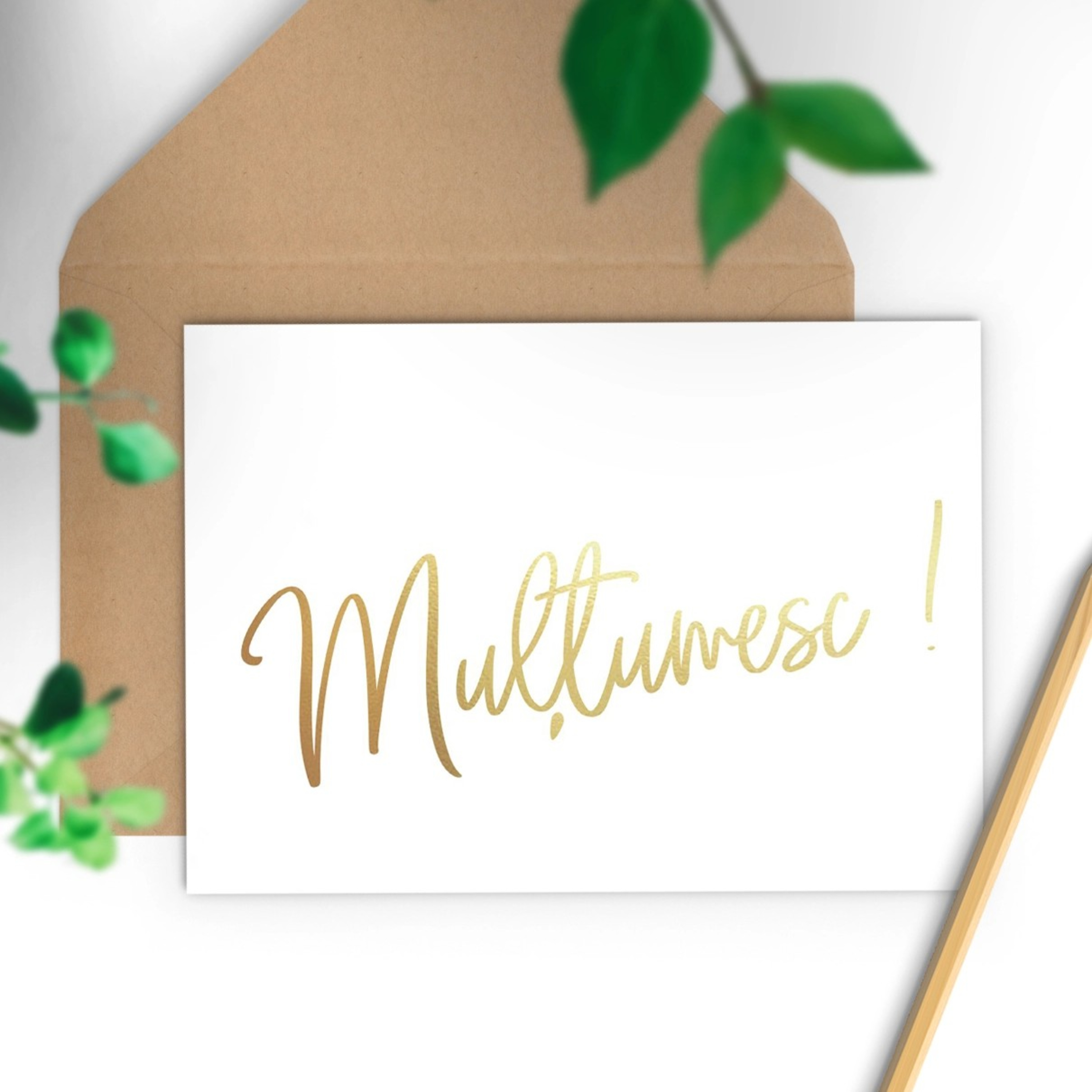Ce câștigi când spui „mulțumesc"? episode artwork