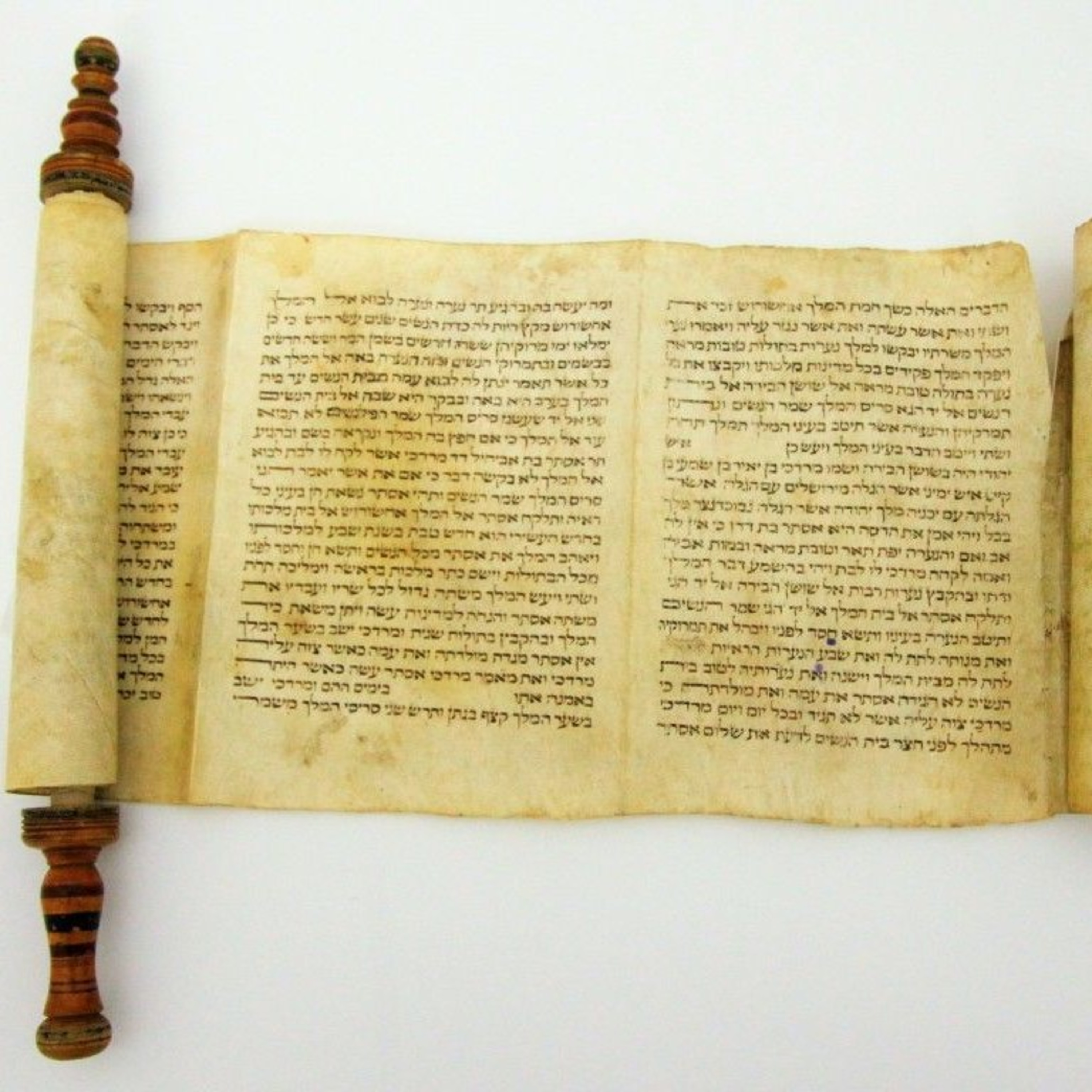 Тора на български - Torah in Bulgarian