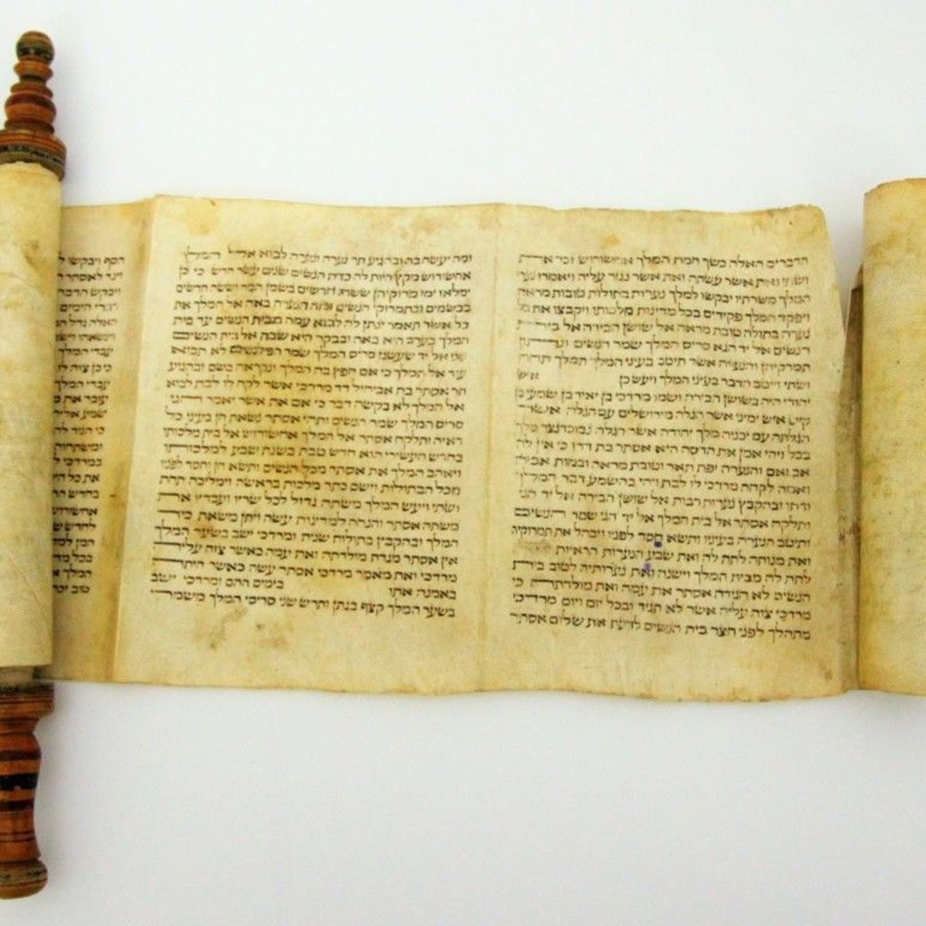 Тора на български - Torah in Bulgarian
