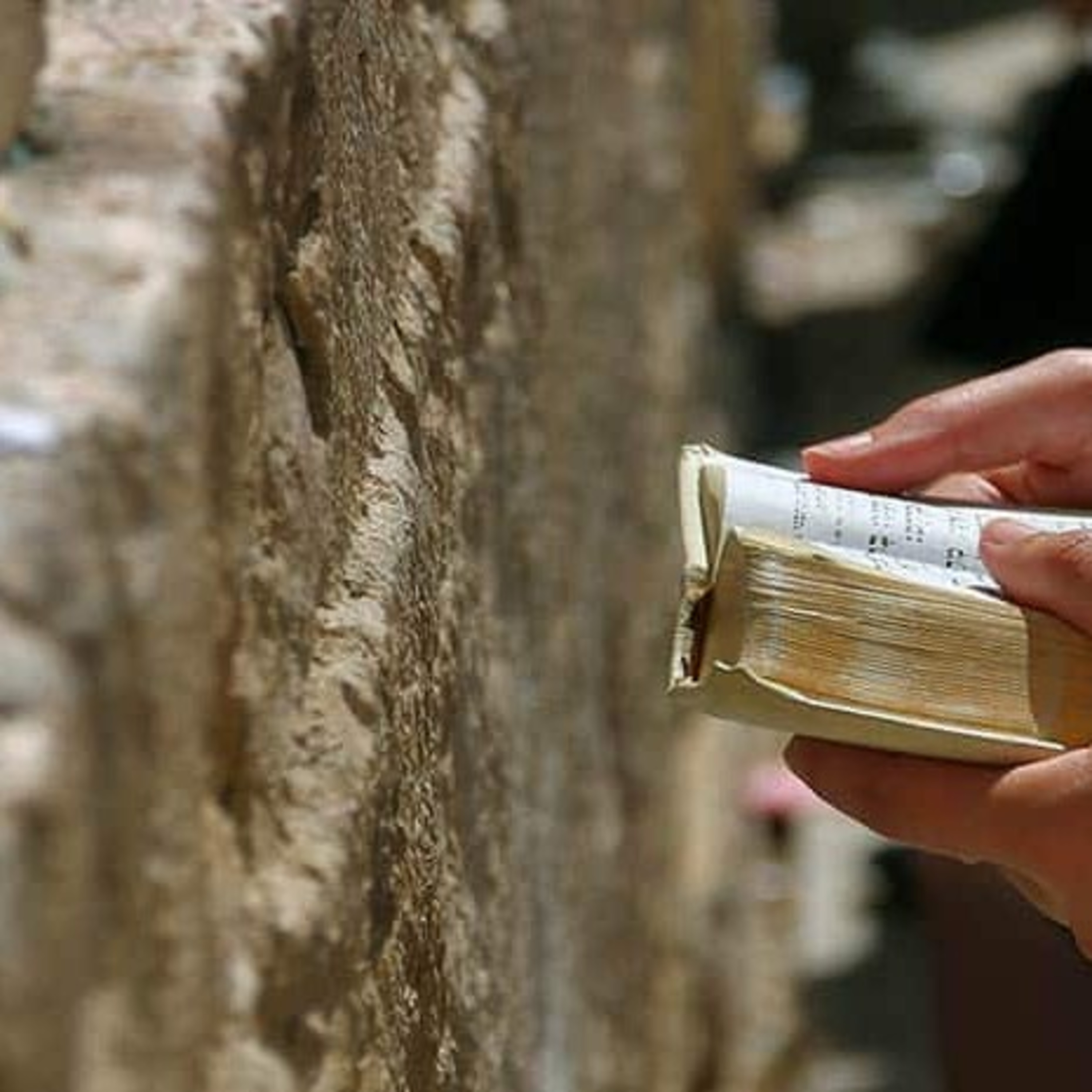 Тора на български - Torah in Bulgarian