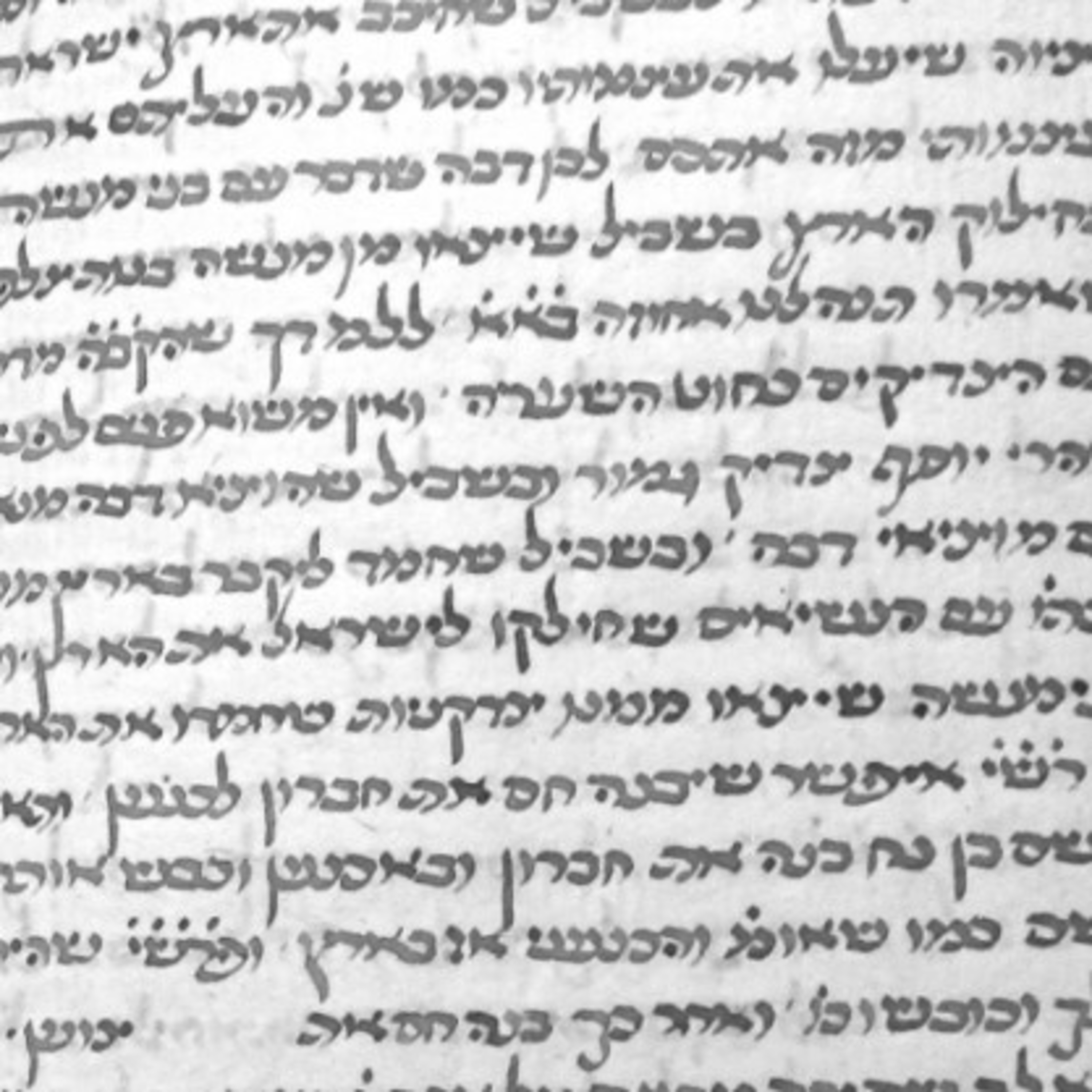 Тора на български - Torah in Bulgarian