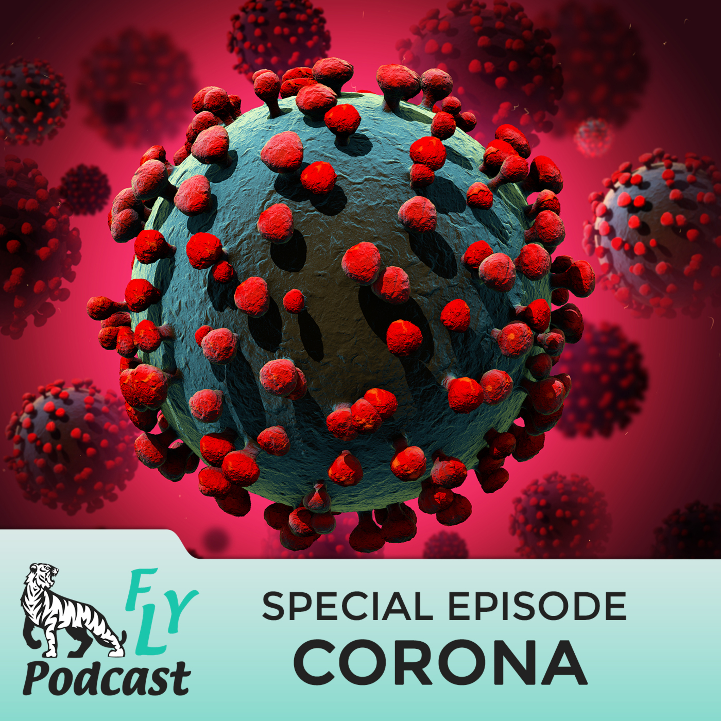 EP - How to survive and thrive during Covid-19 with Erneste Carla Zimmermann episode artwork