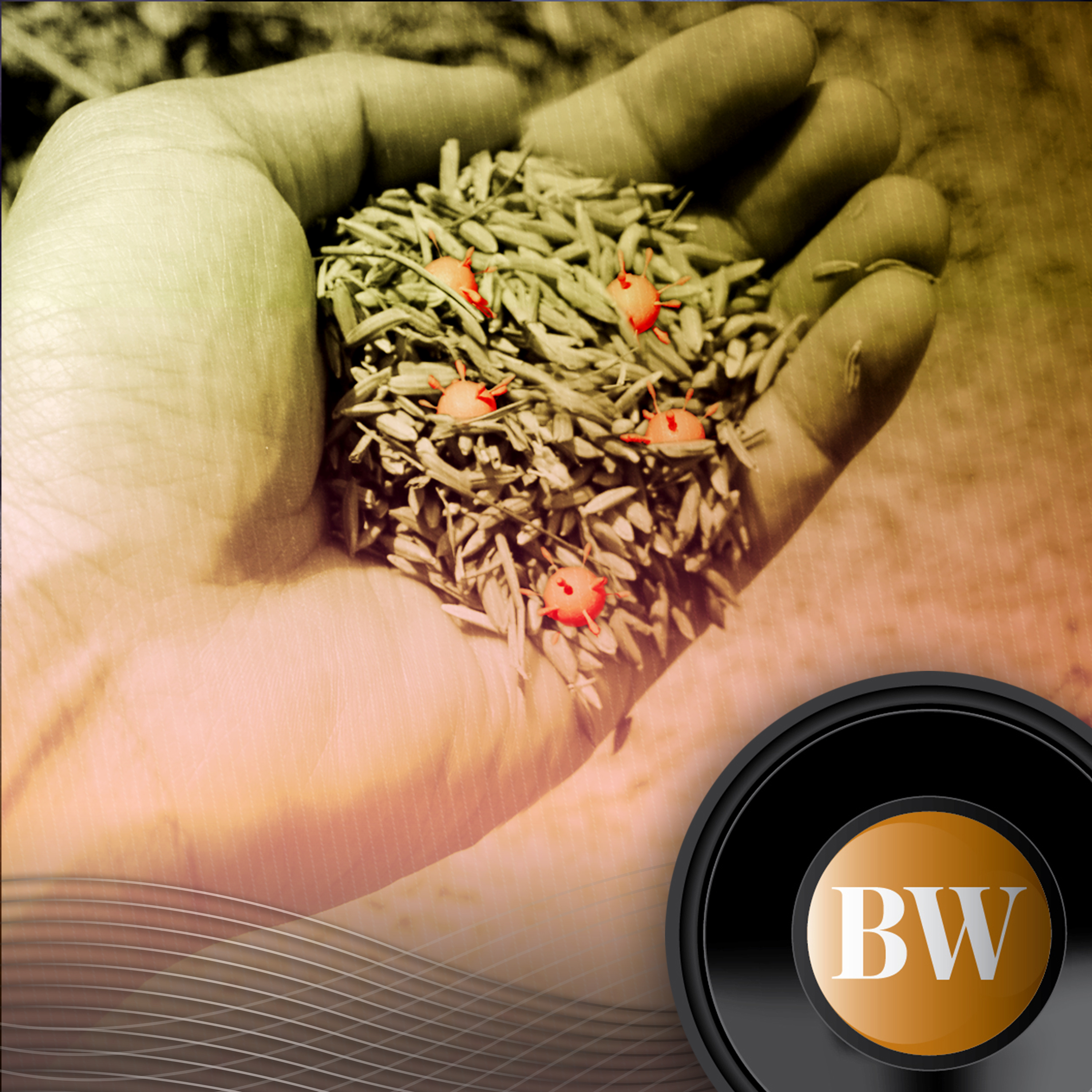 BusinessWorld B-Side