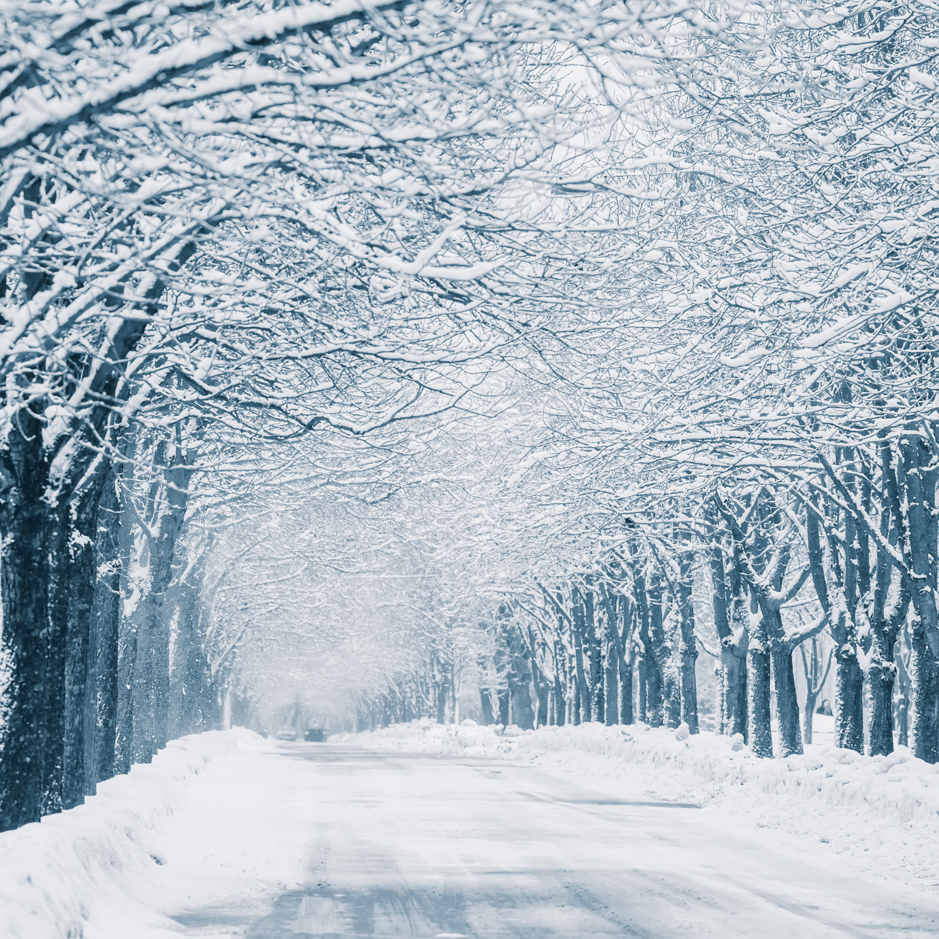 Snowstorm to hit Connecticut episode artwork