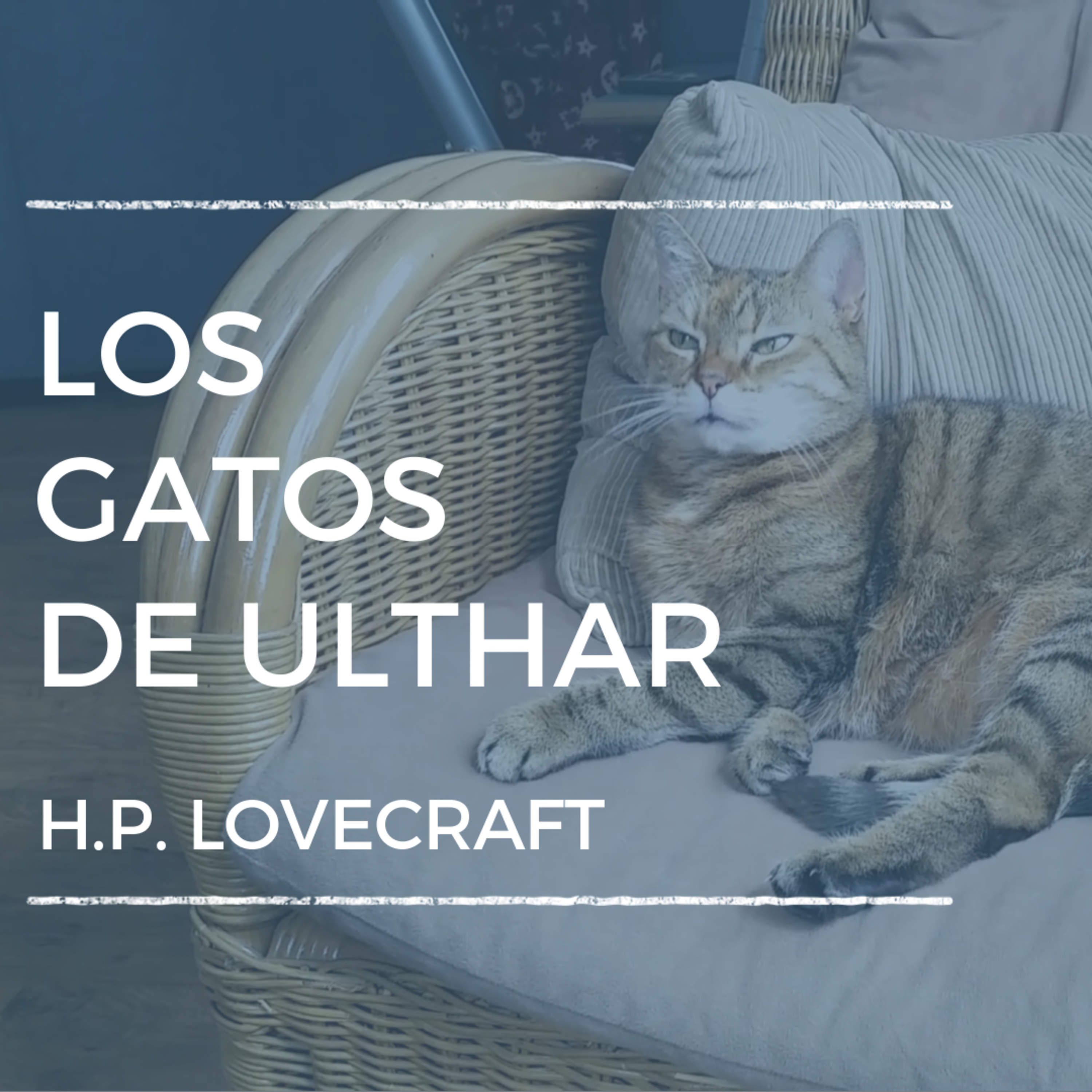 Los gatos de Ulthar de H. P. Lovecraft - Historias que necesitan ser contadas episode artwork